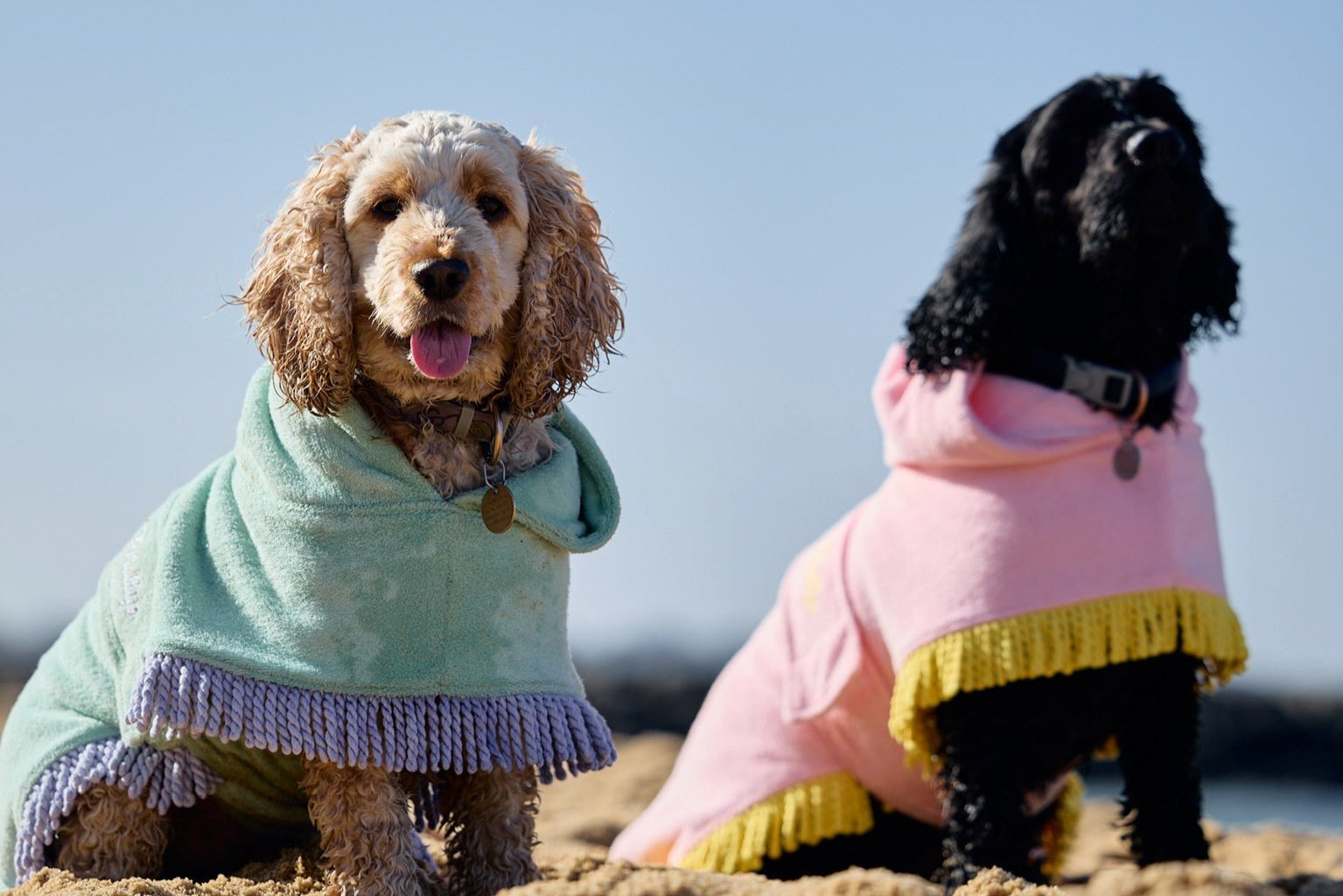 Dog Robes
