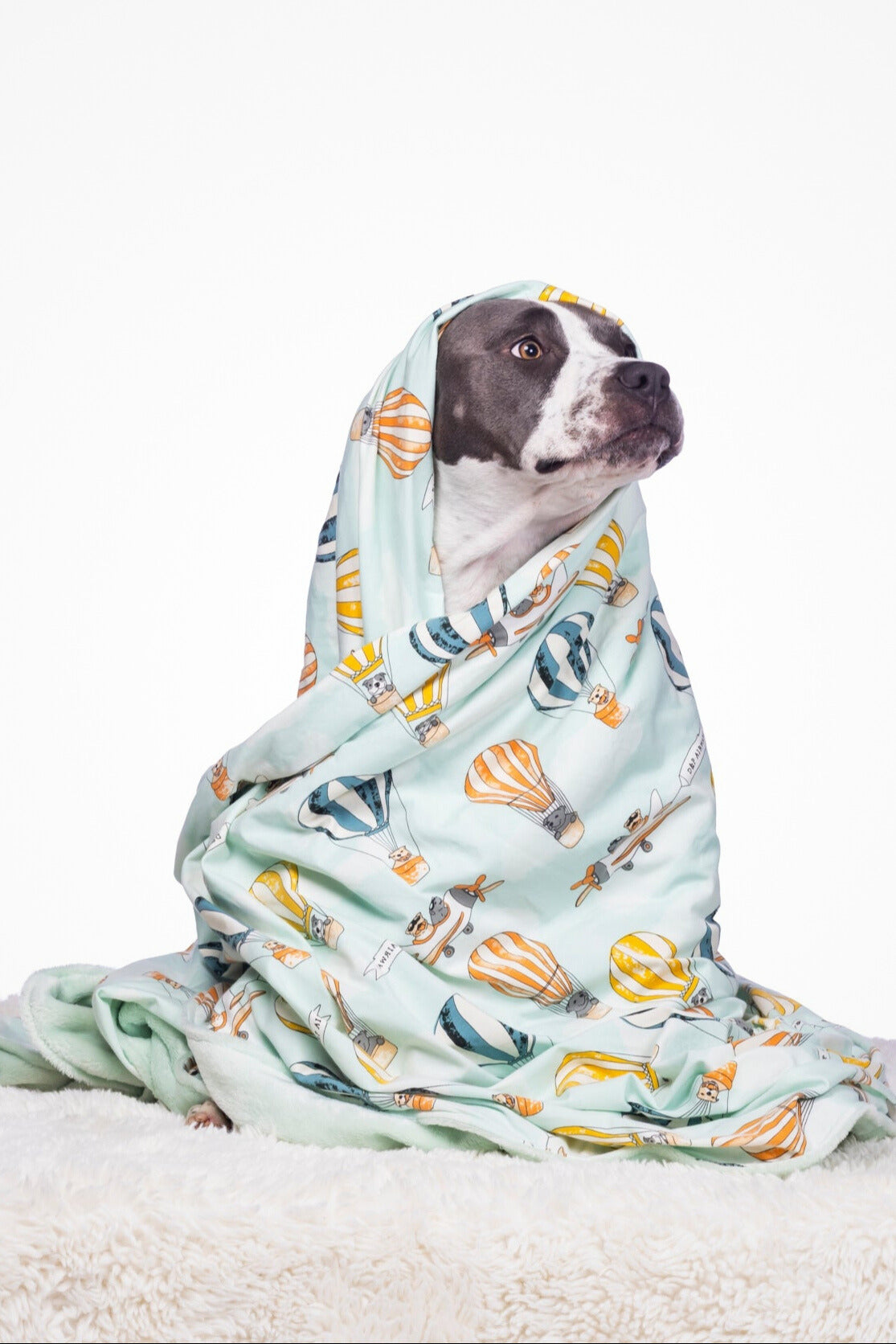 Dog Blanket | Licensed to Fly