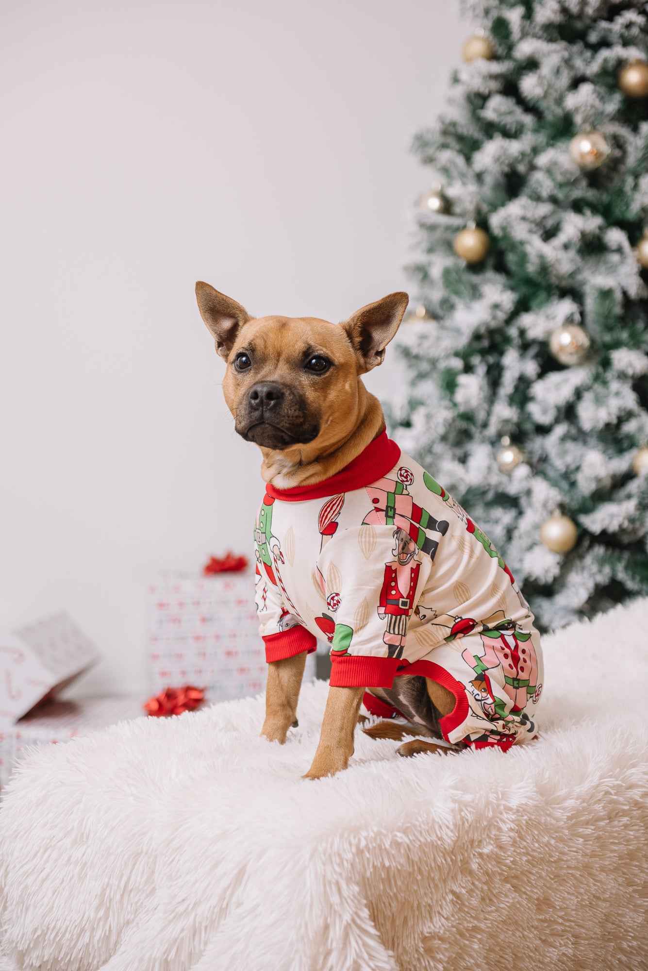 Dog Christmas Pajamas | Nutcracker Dreams