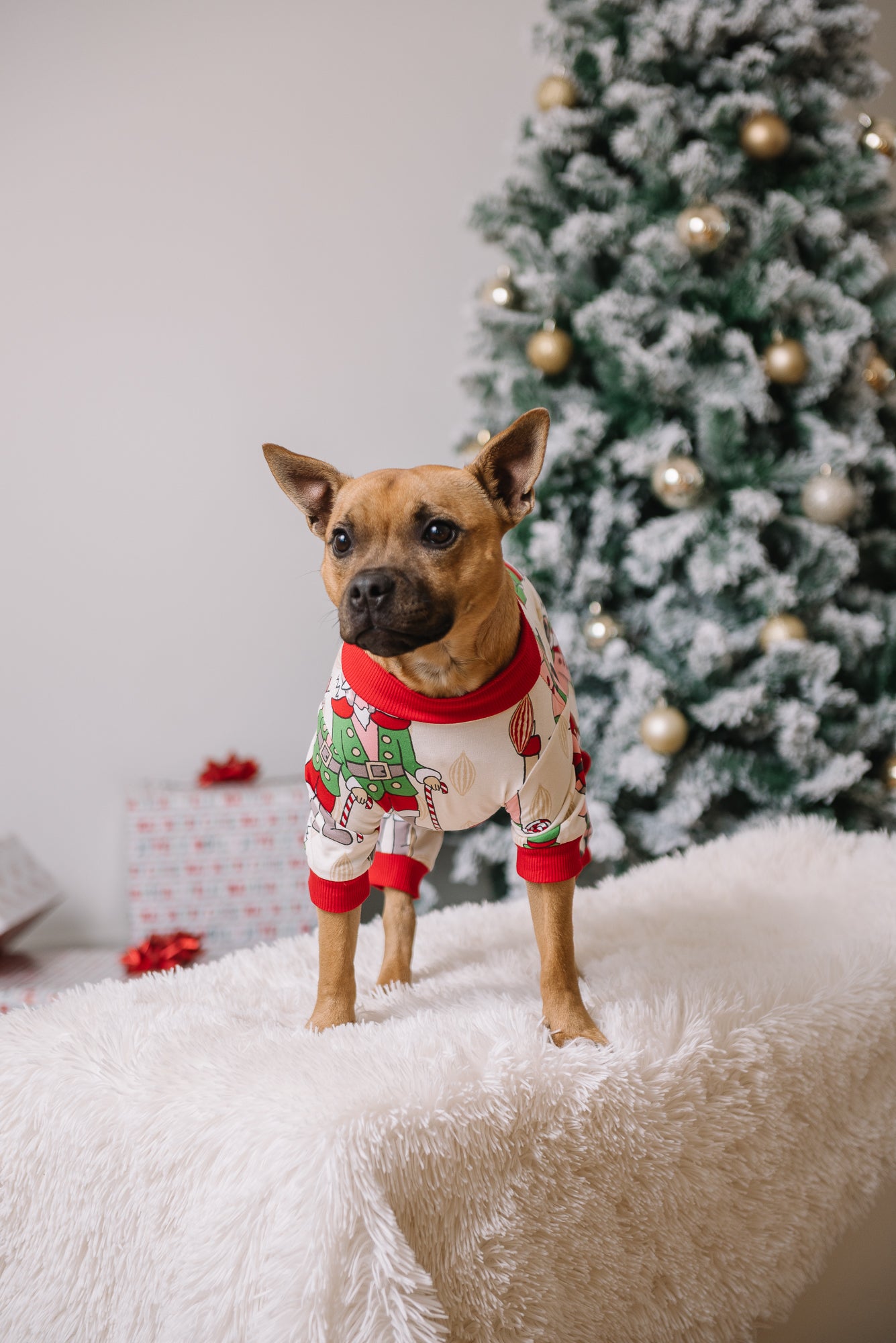 Dog Christmas Pajamas | Nutcracker Dreams