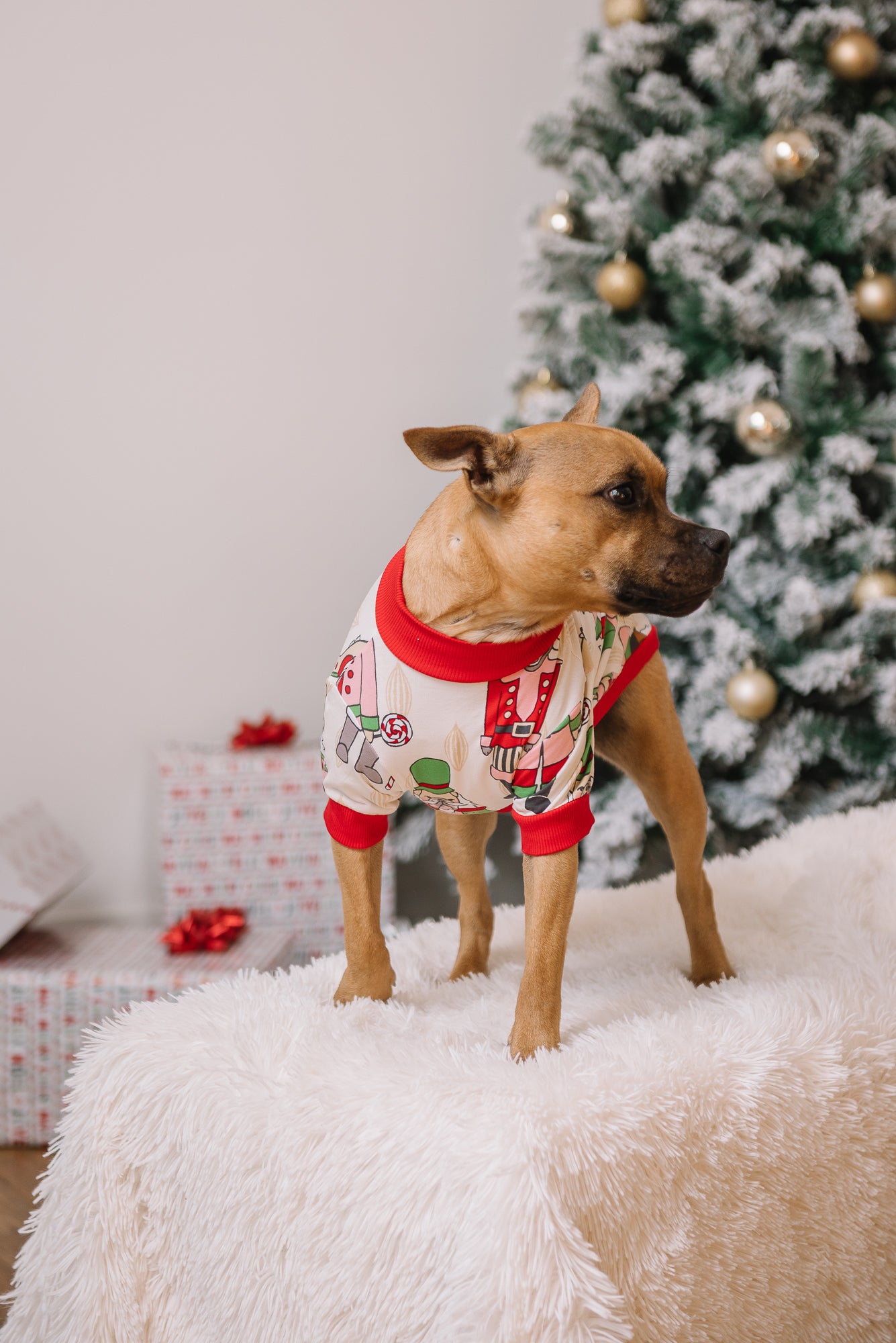 Dog Christmas Tee | Nutcracker Dreams