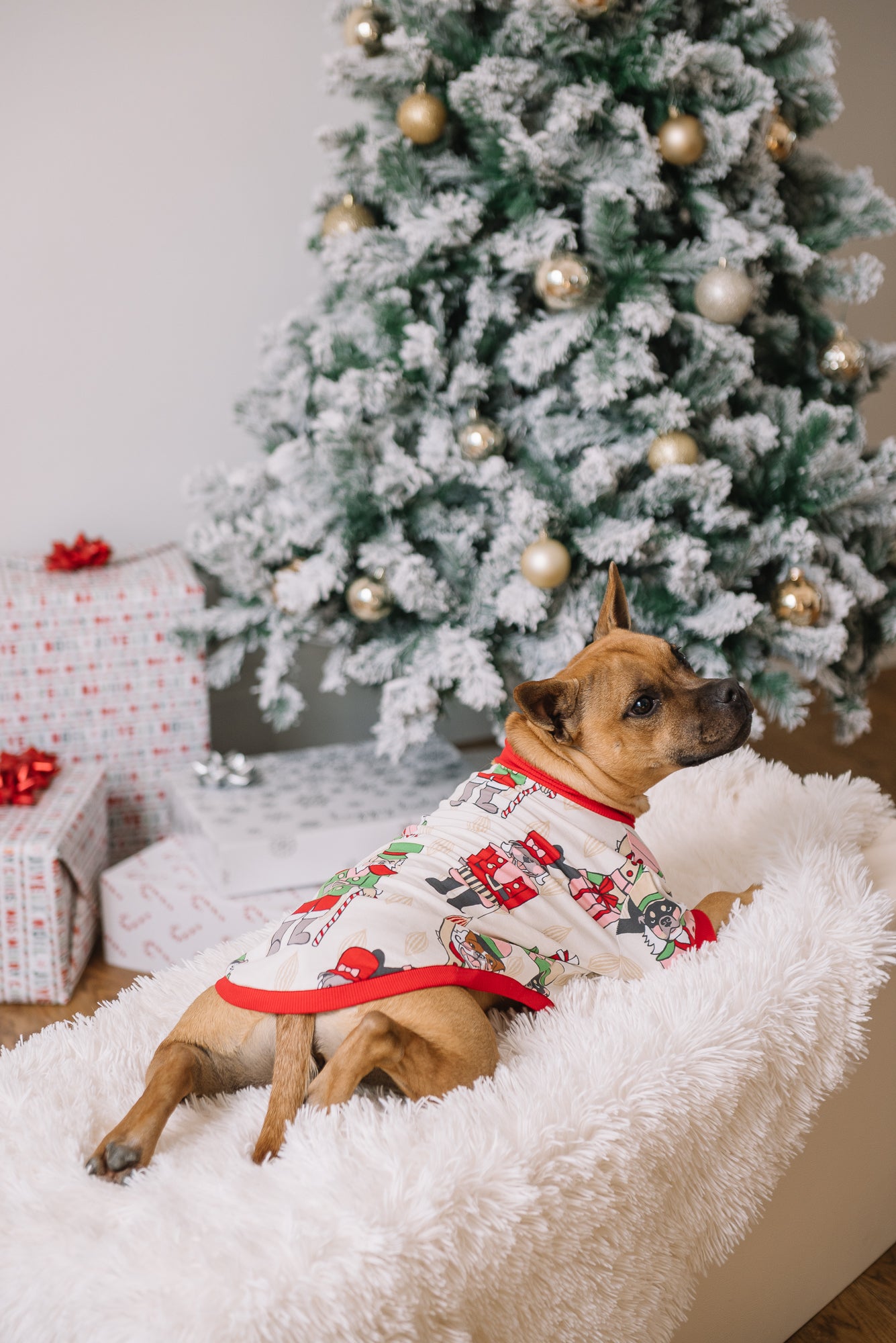 Dog Christmas Tee | Nutcracker Dreams