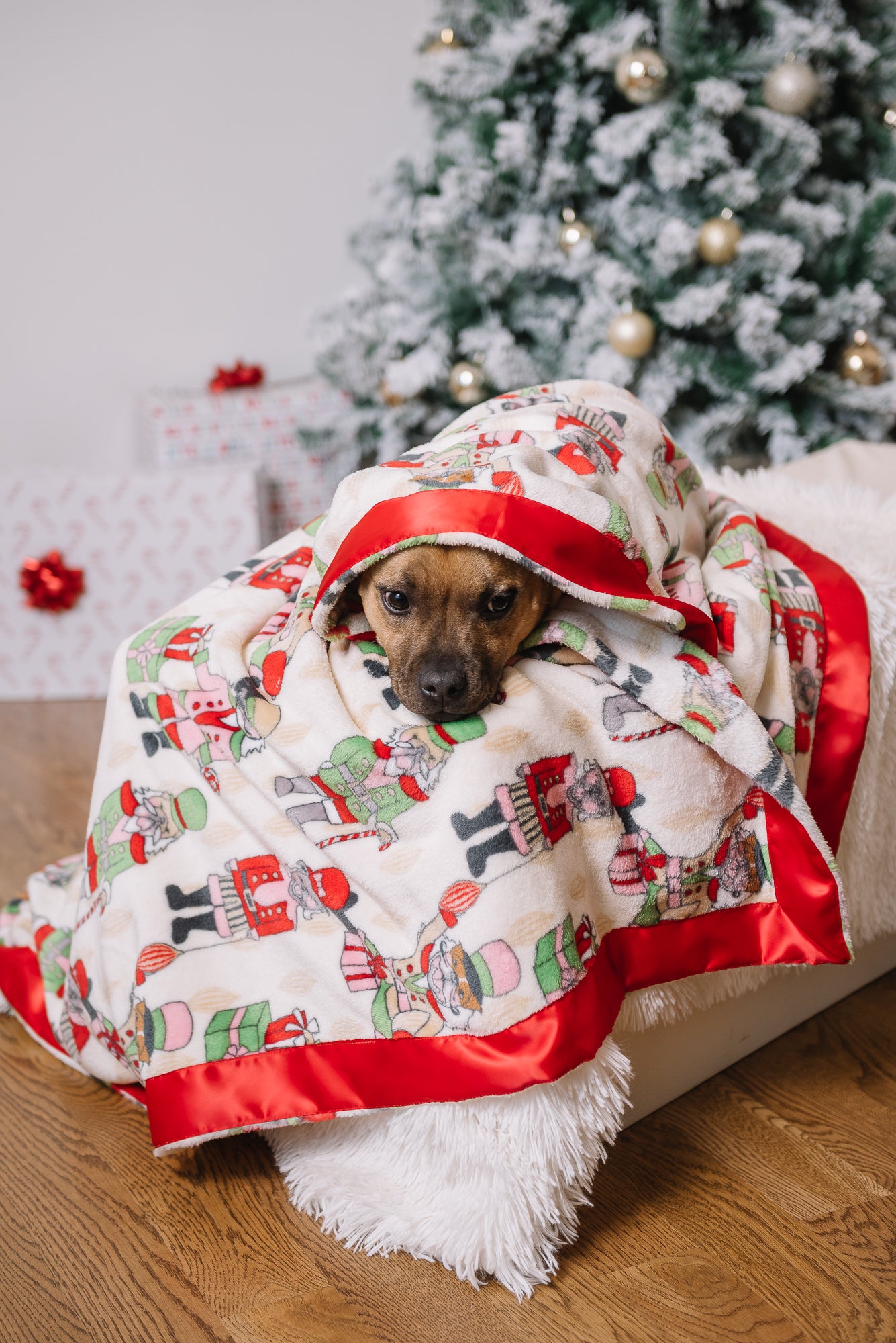 Dog Christmas Blanket | Nutcracker Dreams