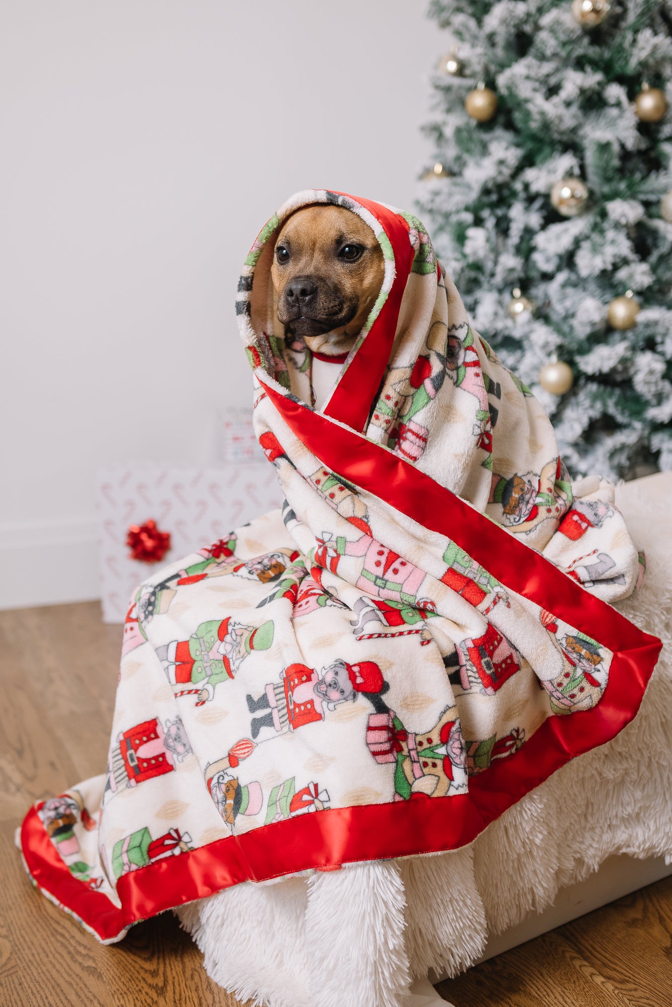 Dog Christmas Blanket | Nutcracker Dreams