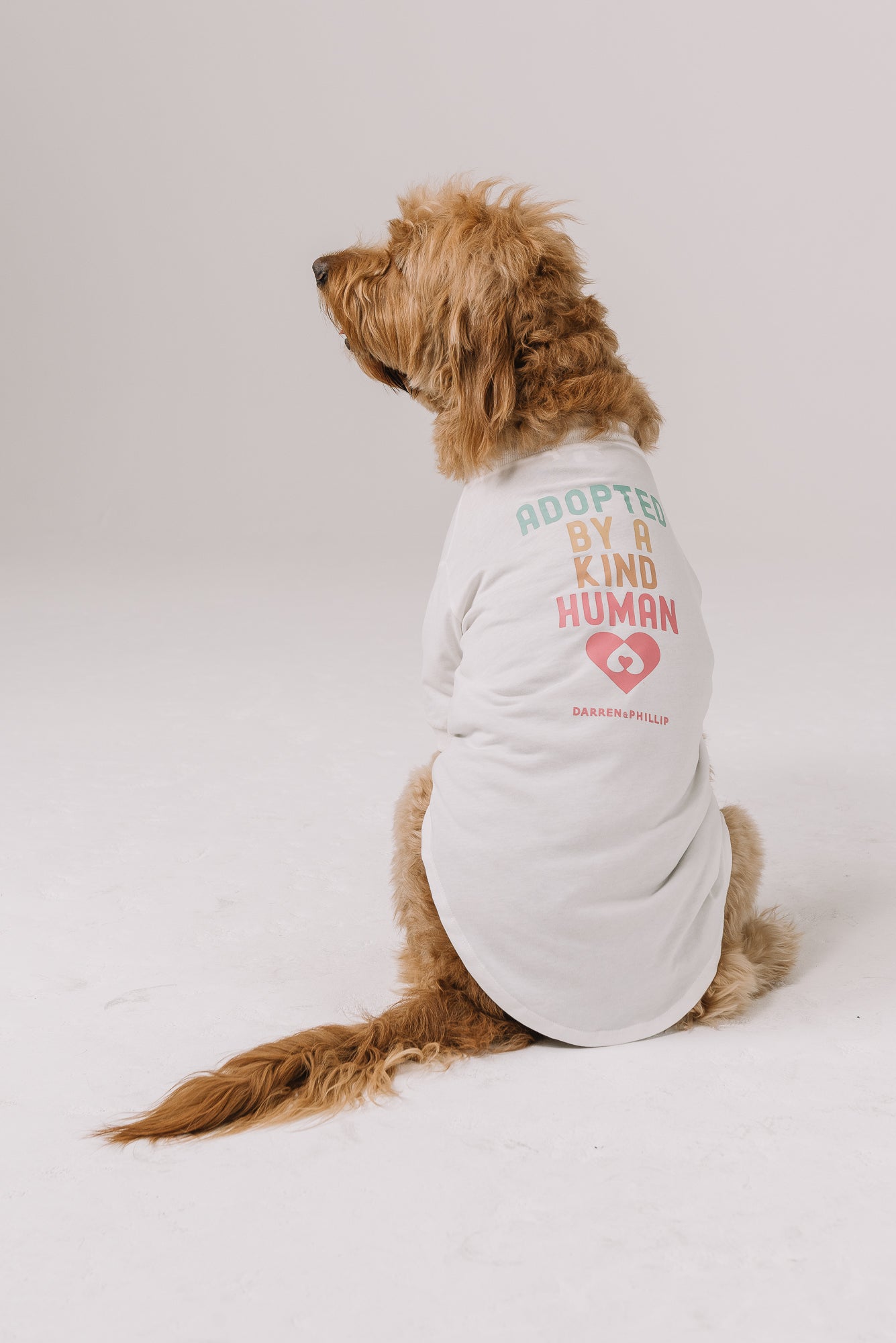 Adopt a Rescue Dog Tee | Natural