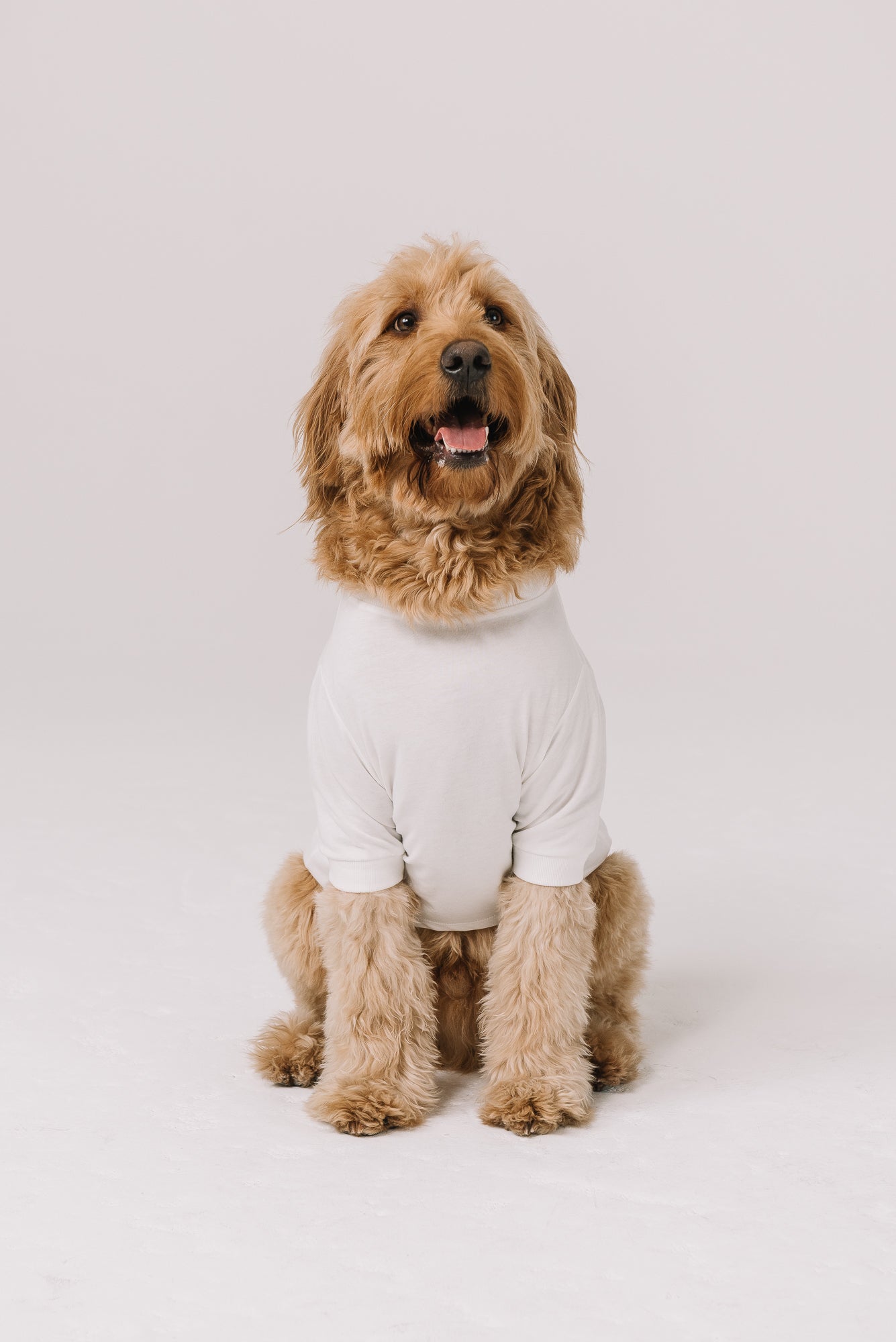 Adopt a Rescue Dog Tee | Natural