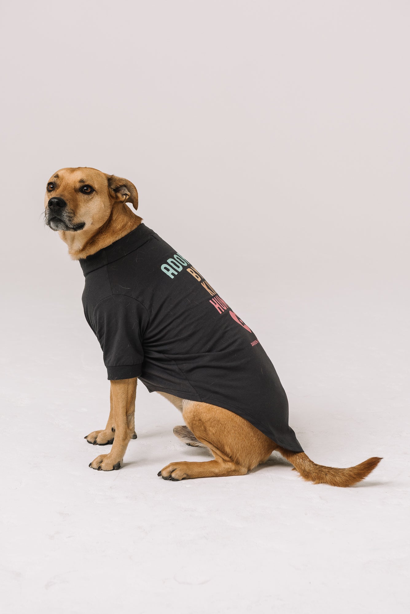 Adopt a Rescue Dog Tee | Dark Gray