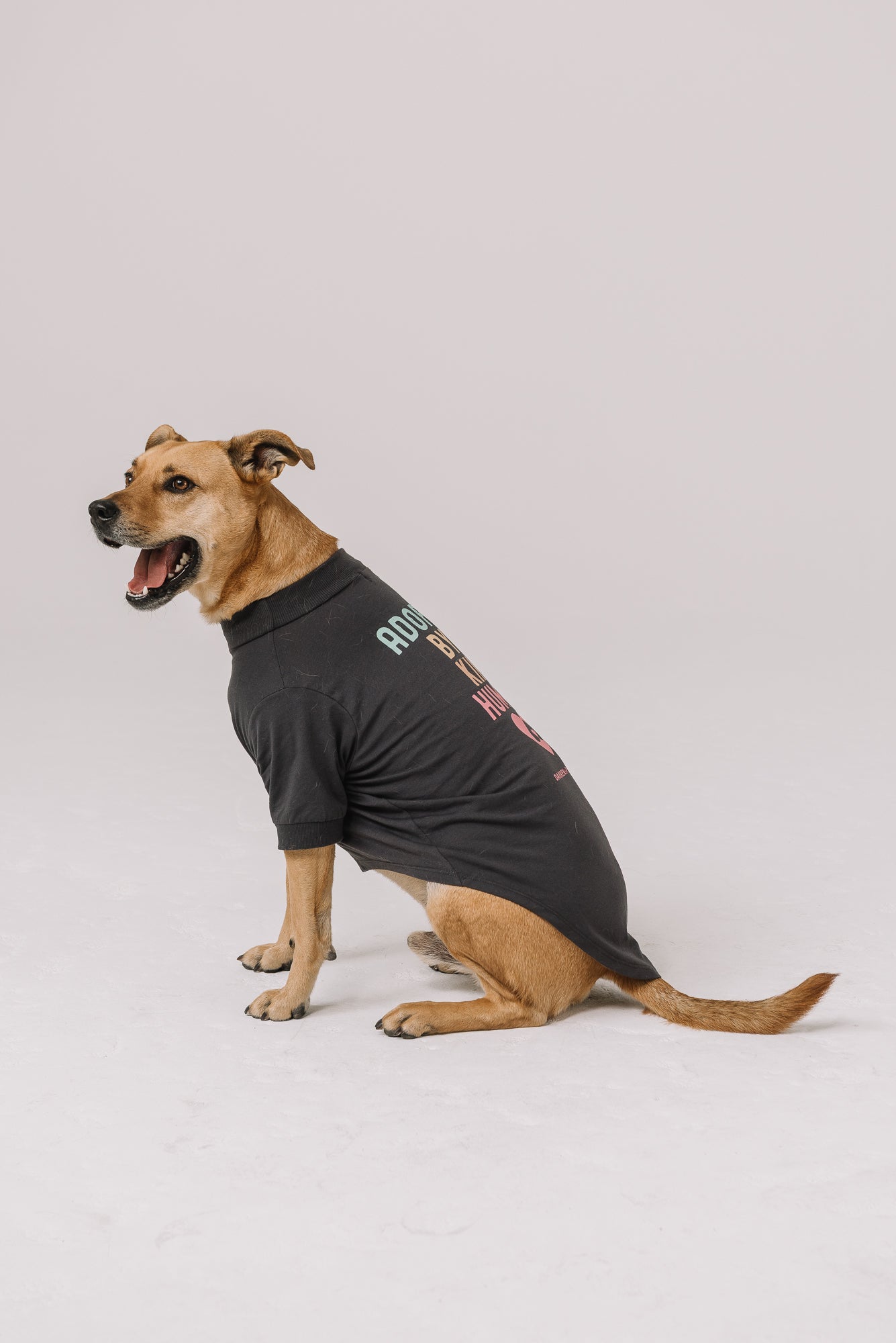 Adopt a Rescue Dog Tee | Dark Gray