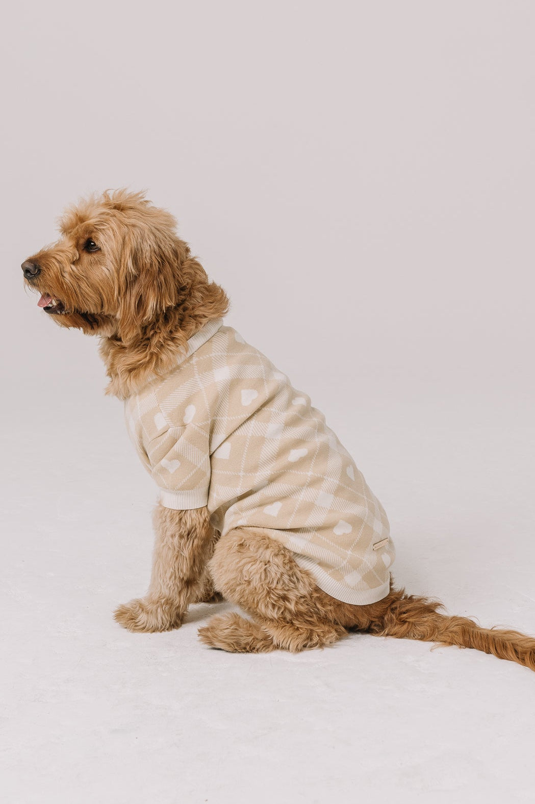 Beloved Plaid Dog Sweater