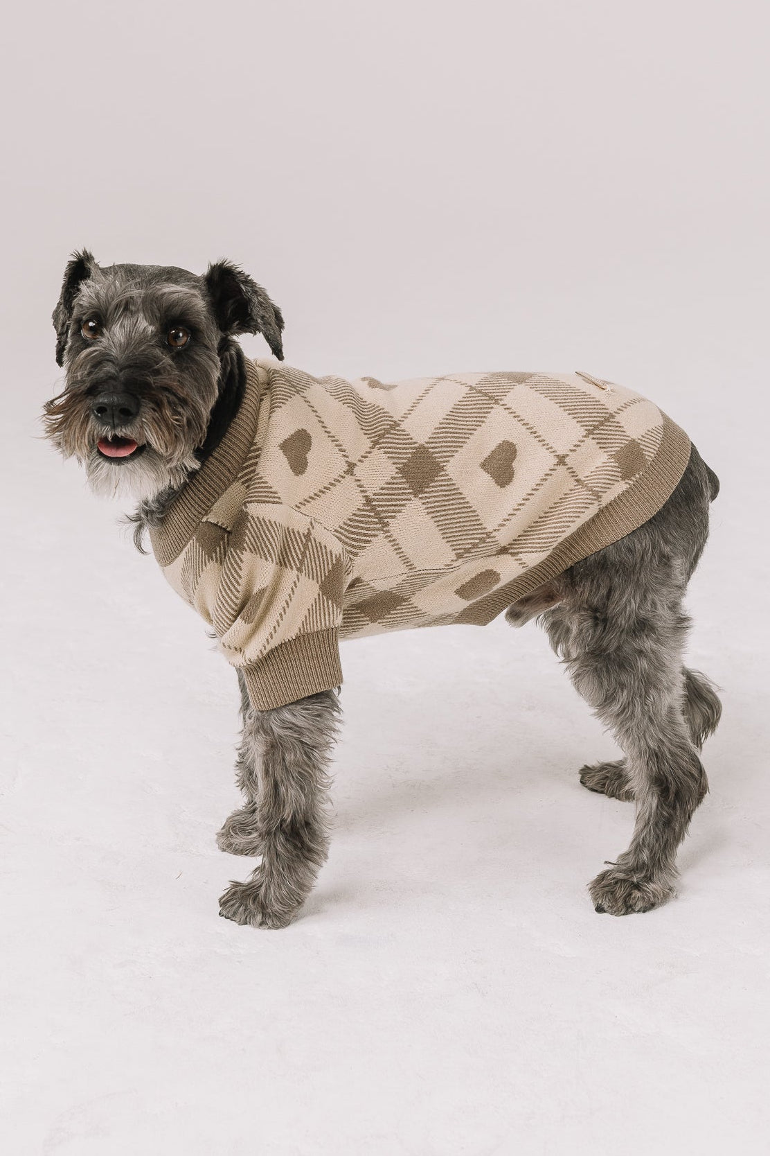 Beloved Plaid Dog Sweater