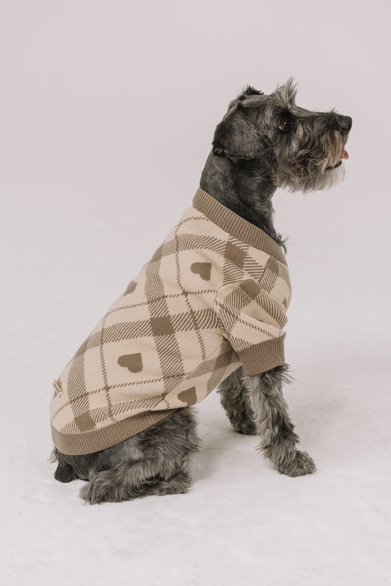 Beloved Plaid Dog Sweater