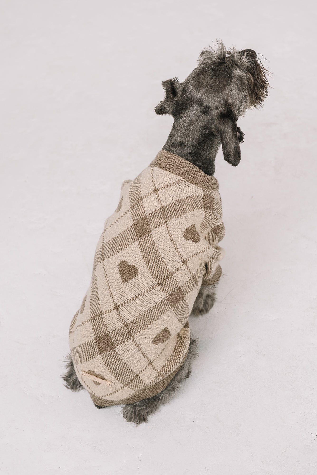 Beloved Plaid Dog Sweater
