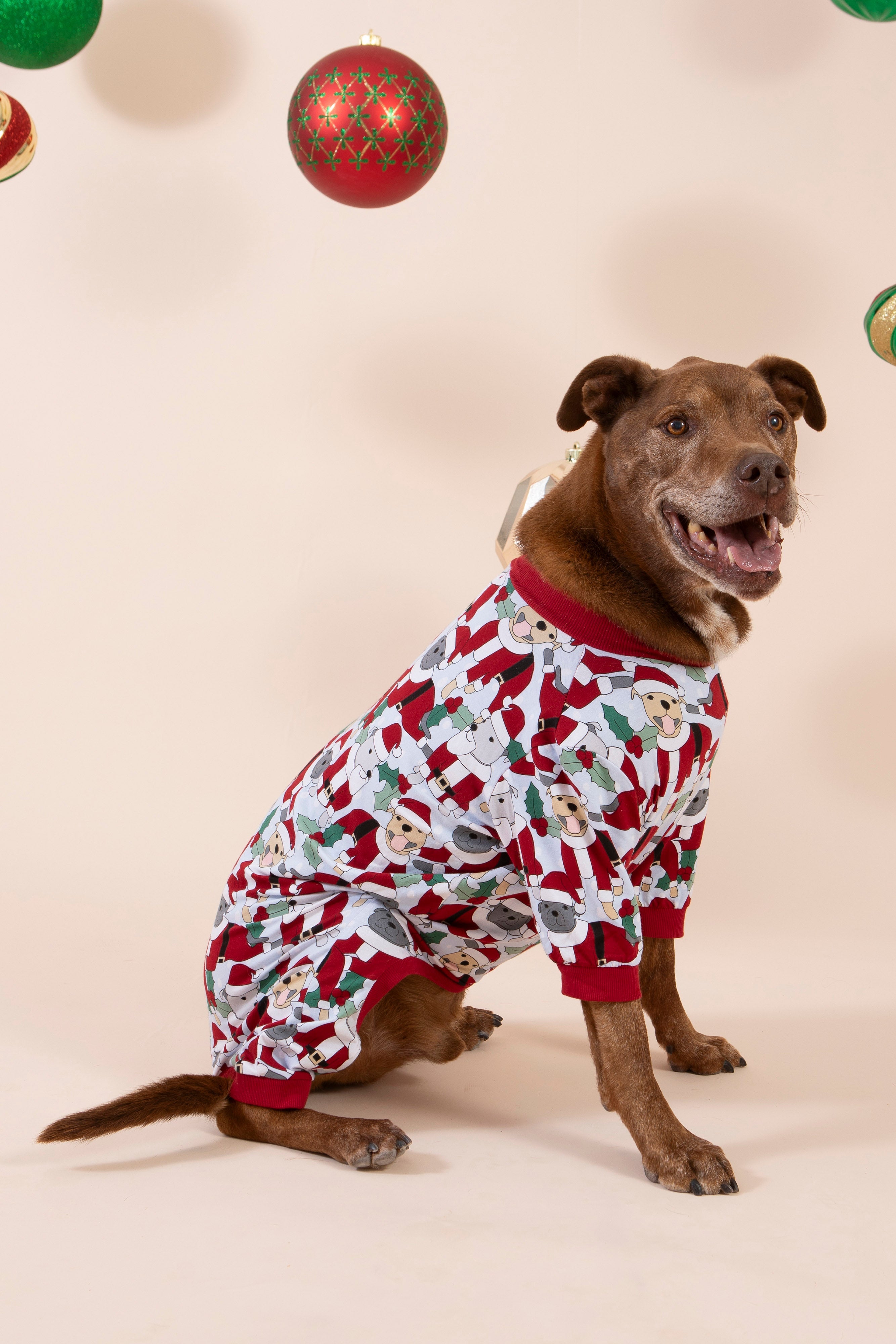 Dog Pyjamas | Santa Paws