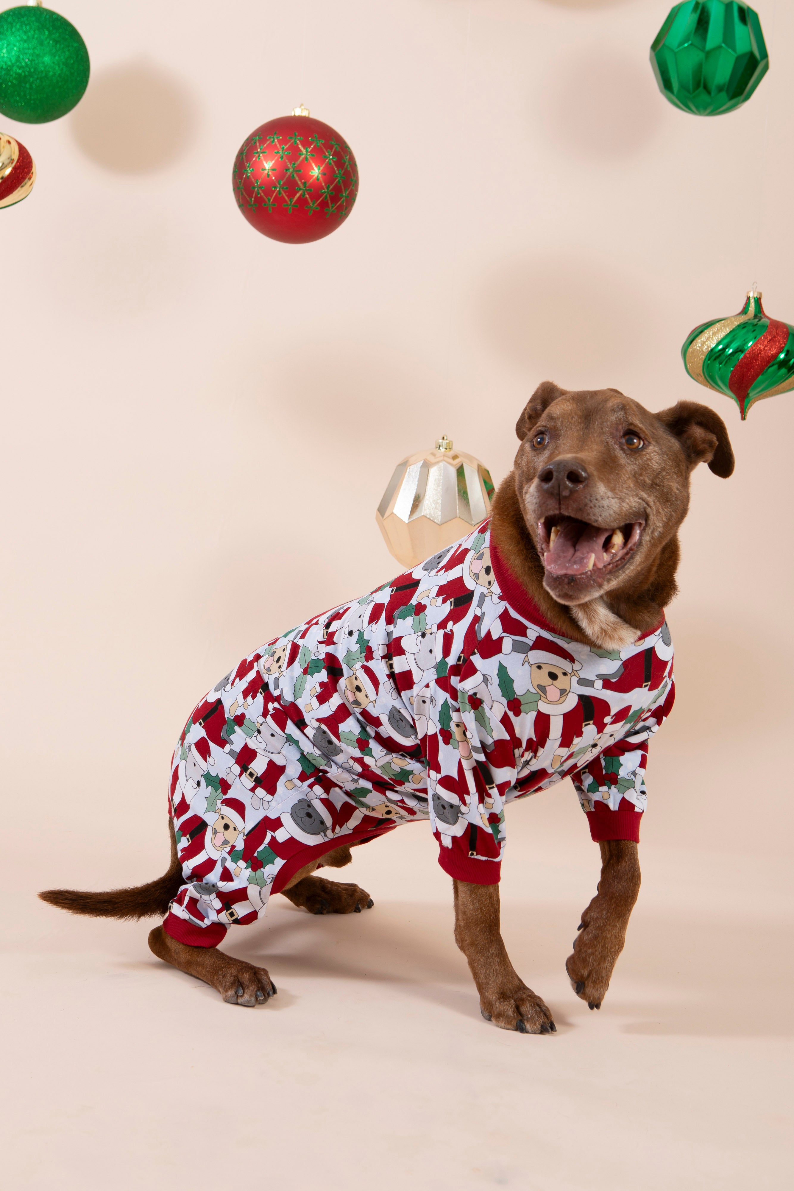 Santa Paws Dog Pajamas