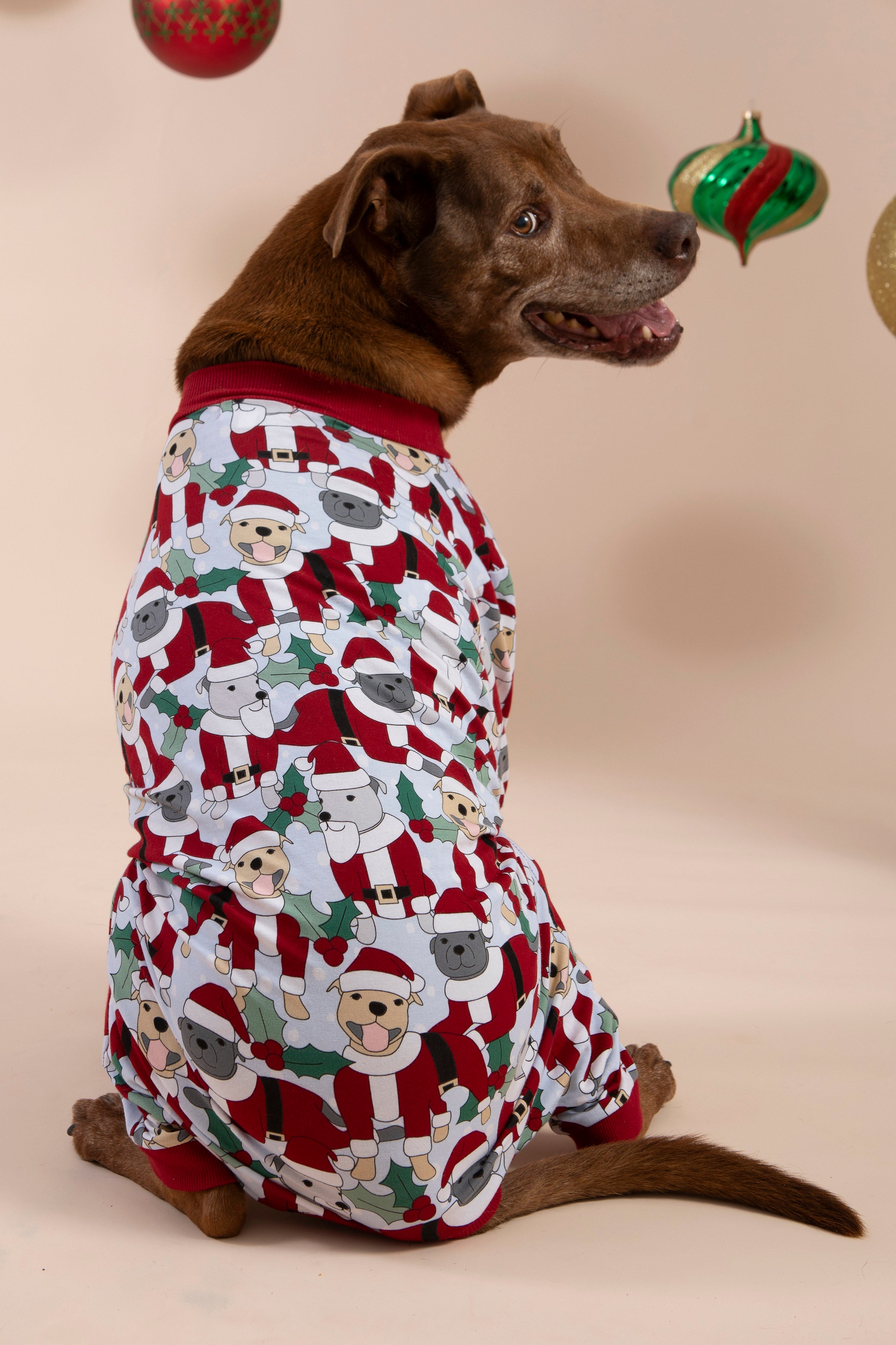 Dog Pyjamas | Santa Paws