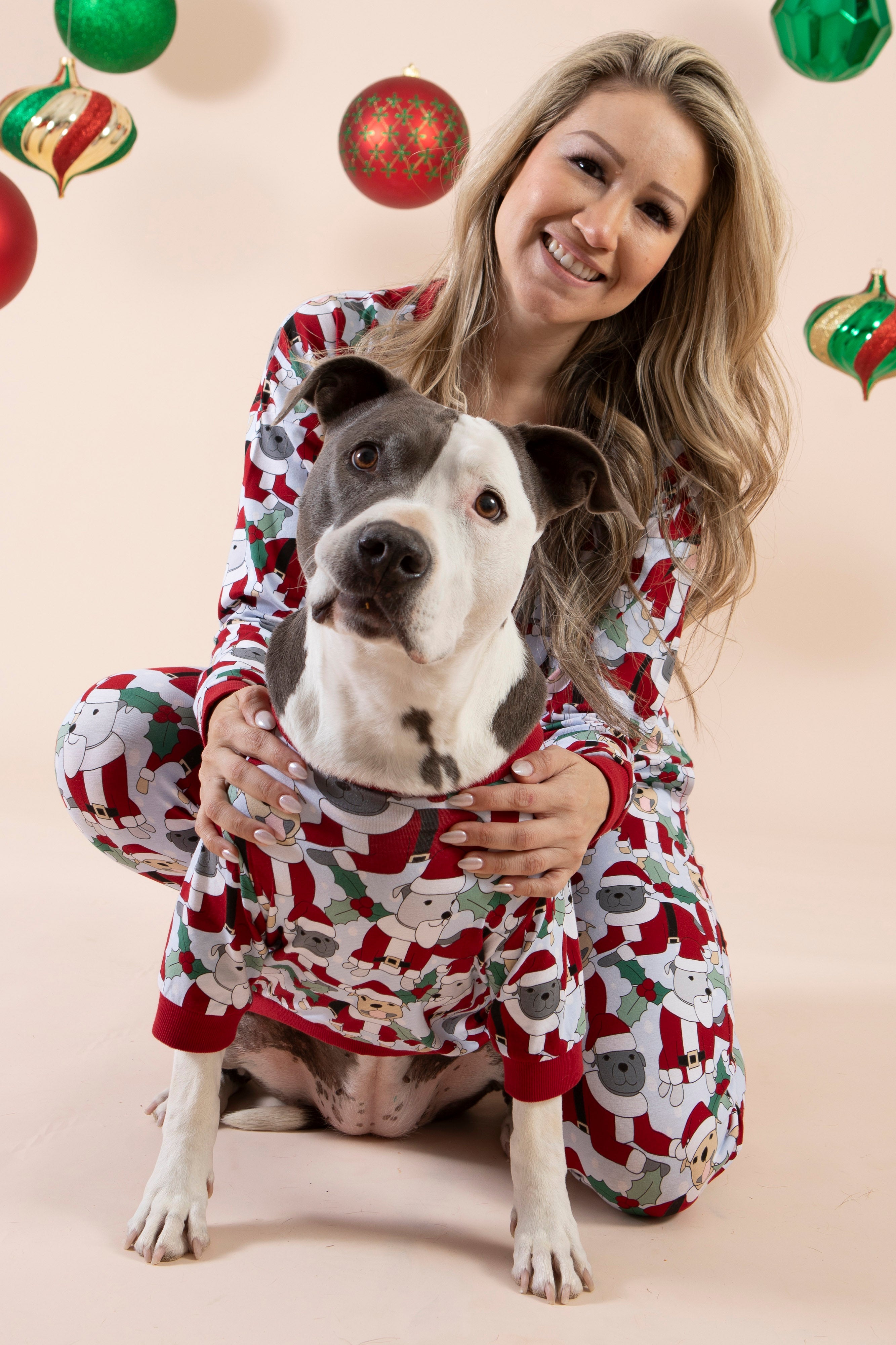 Dog Christmas Tee | Santa Paws