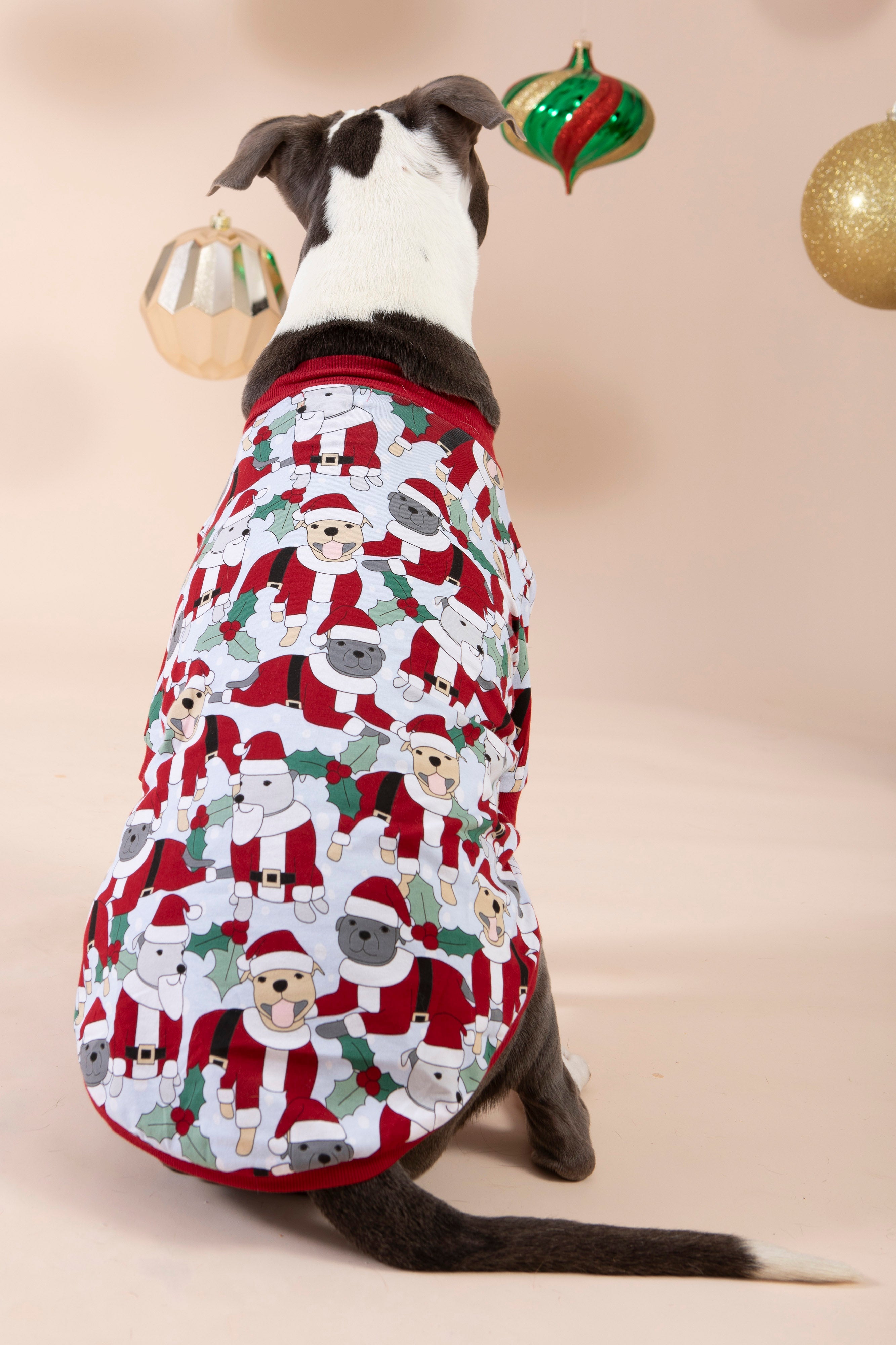 Dog Christmas Tee | Santa Paws