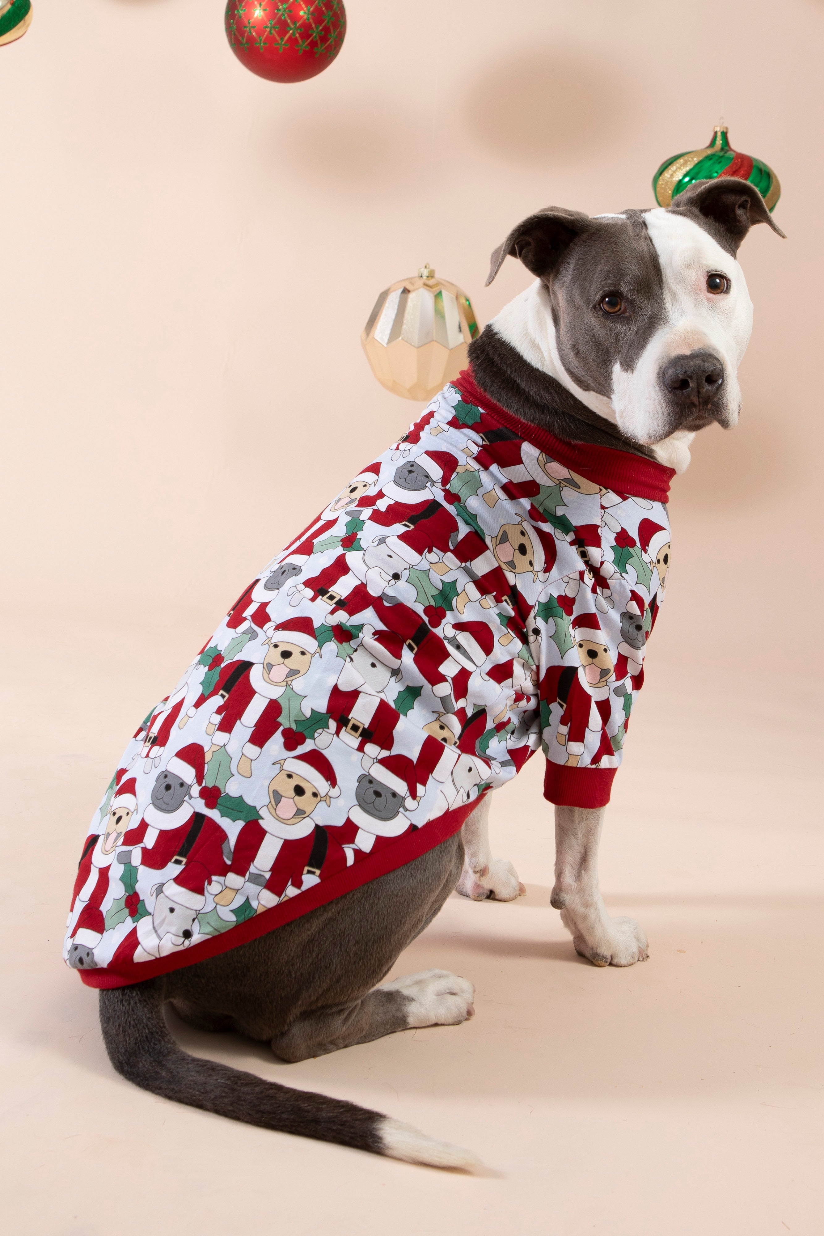 Dog Christmas Tee | Santa Paws