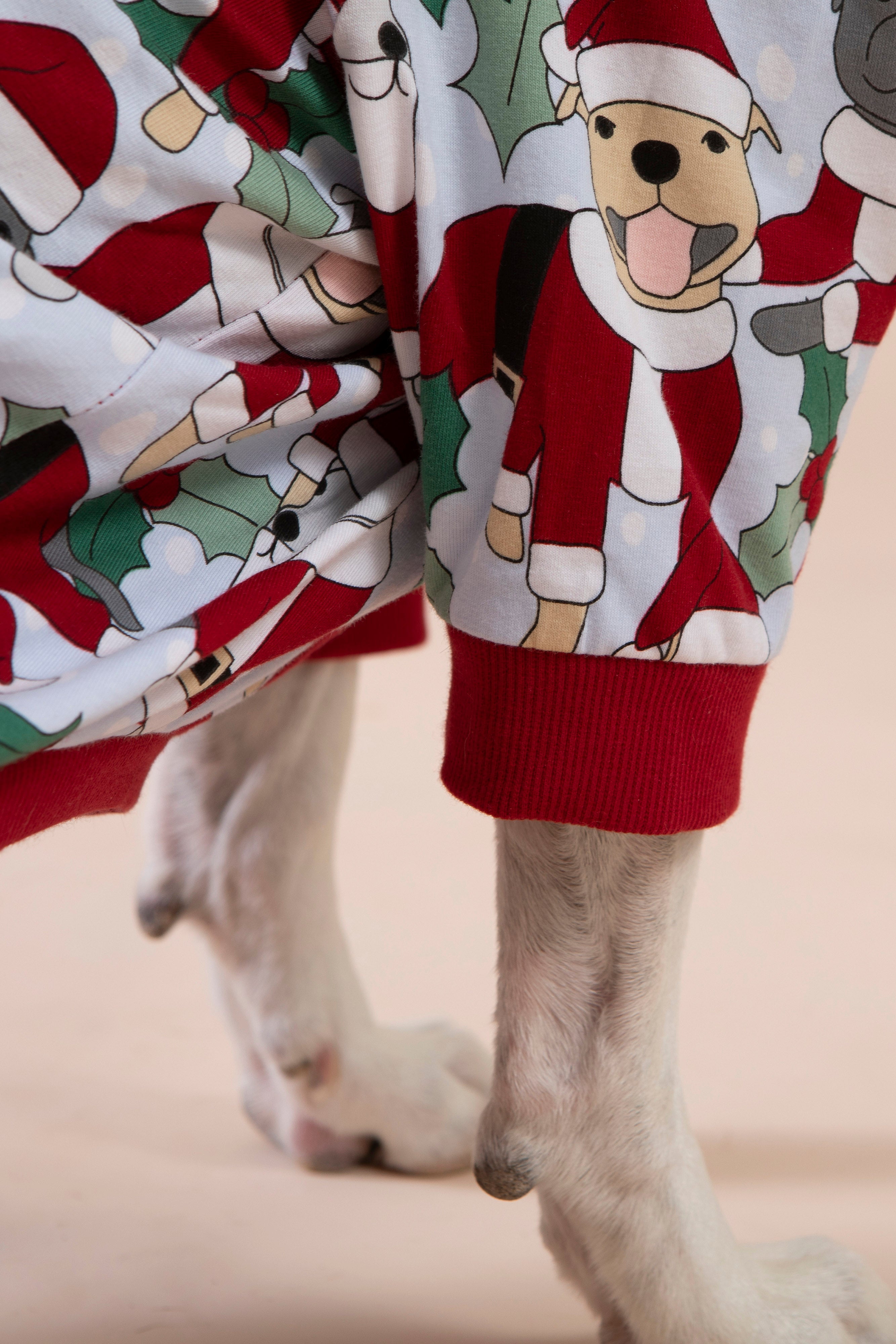 Dog Christmas Tee | Santa Paws