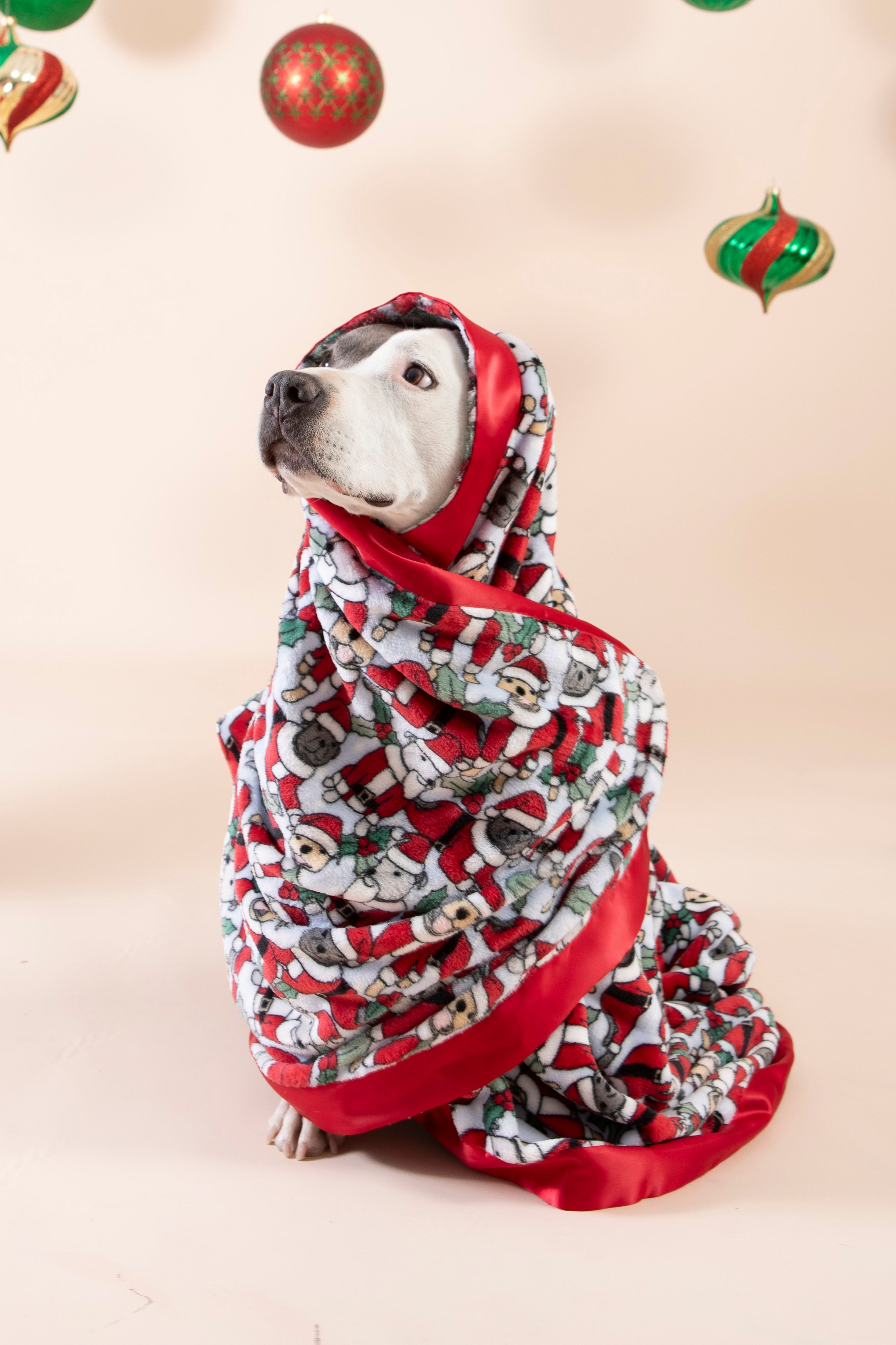 Dog Christmas Blanket | Santa Paws