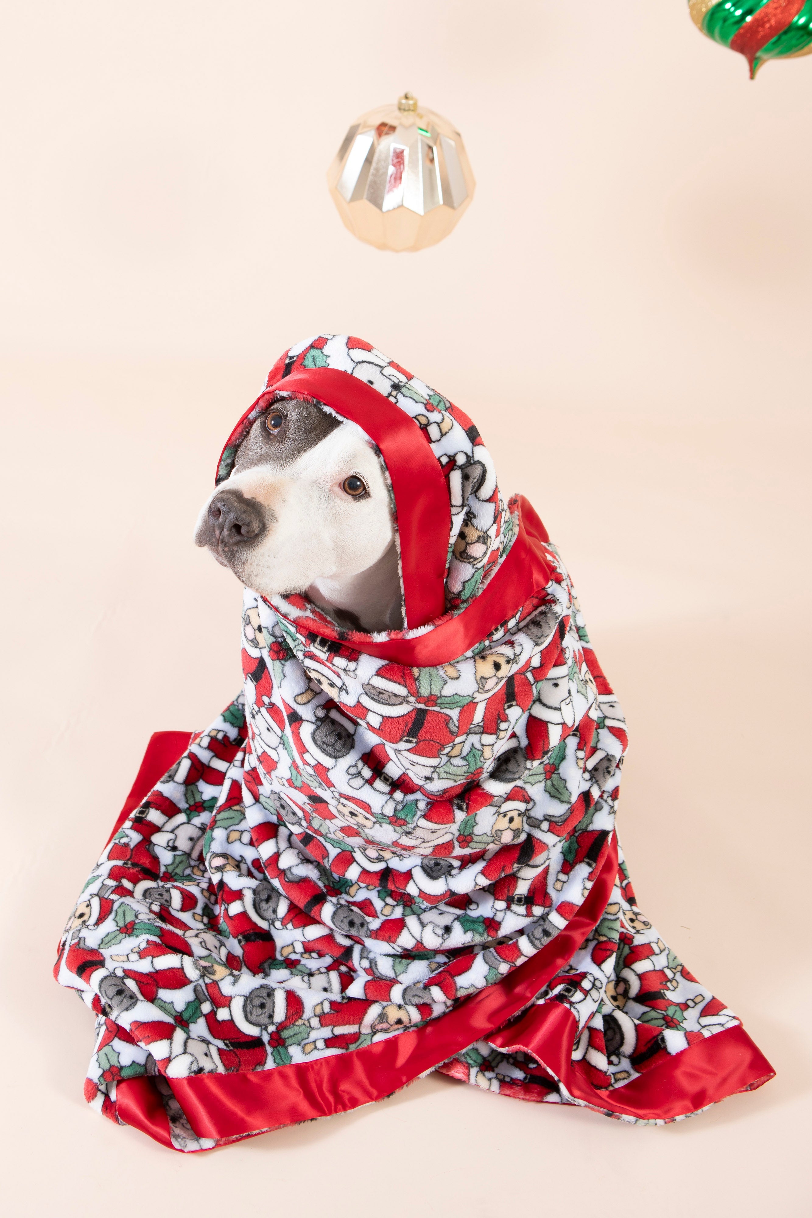 Dog Christmas Blanket | Santa Paws