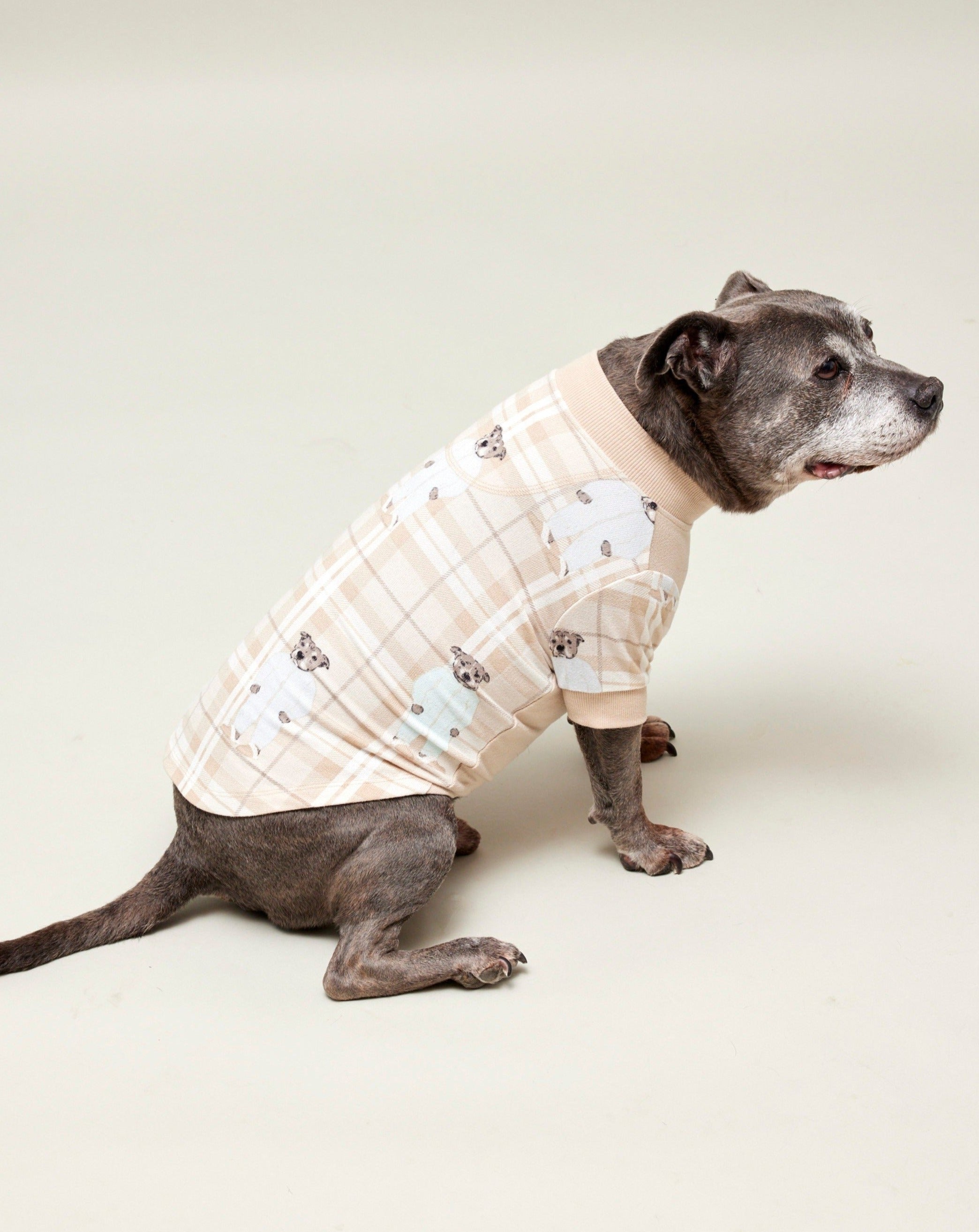 Darren and Phillip dog tee.