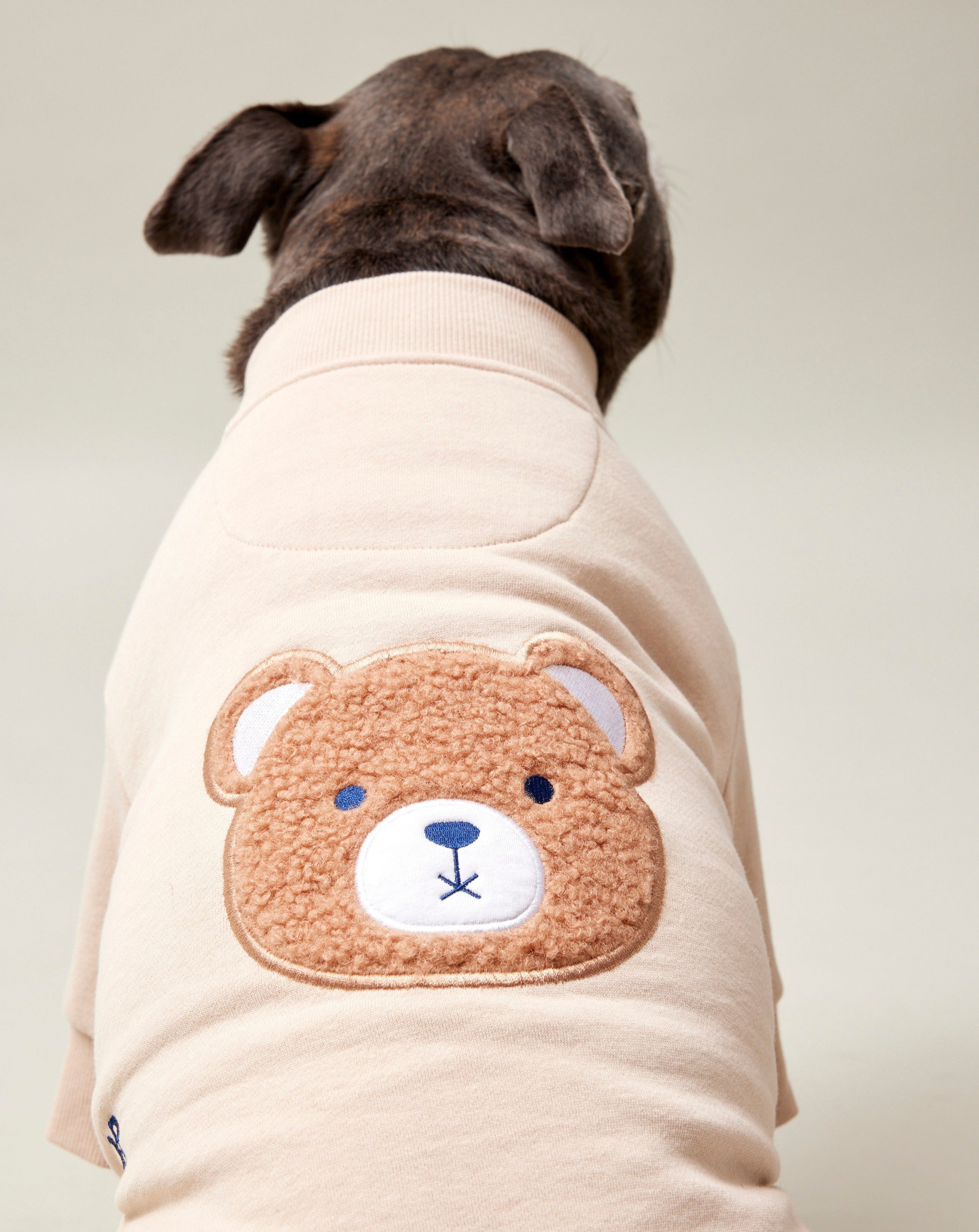 Darren and Phillip Teddy dog sweater.