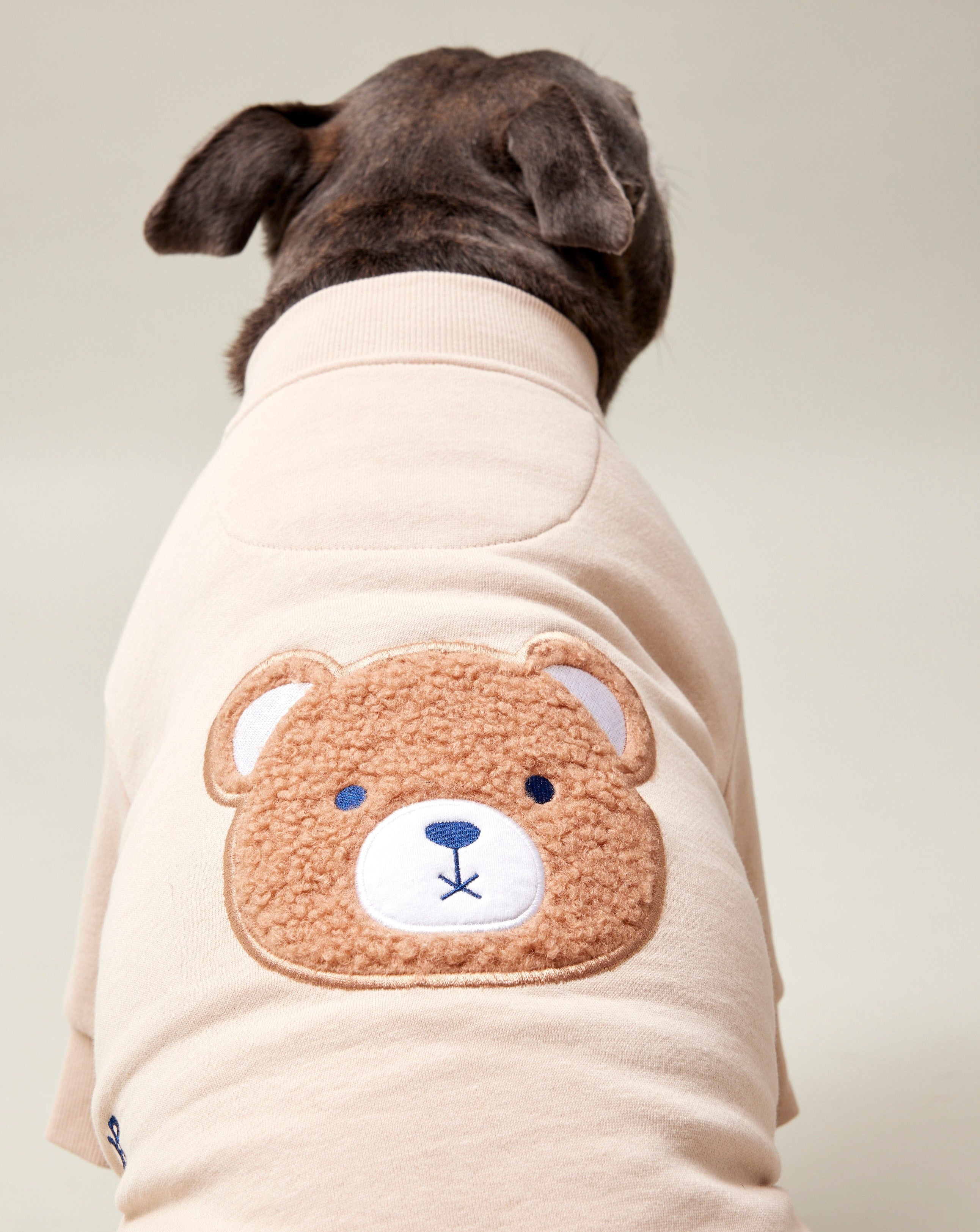 Darren and Phillip Teddy dog sweater.