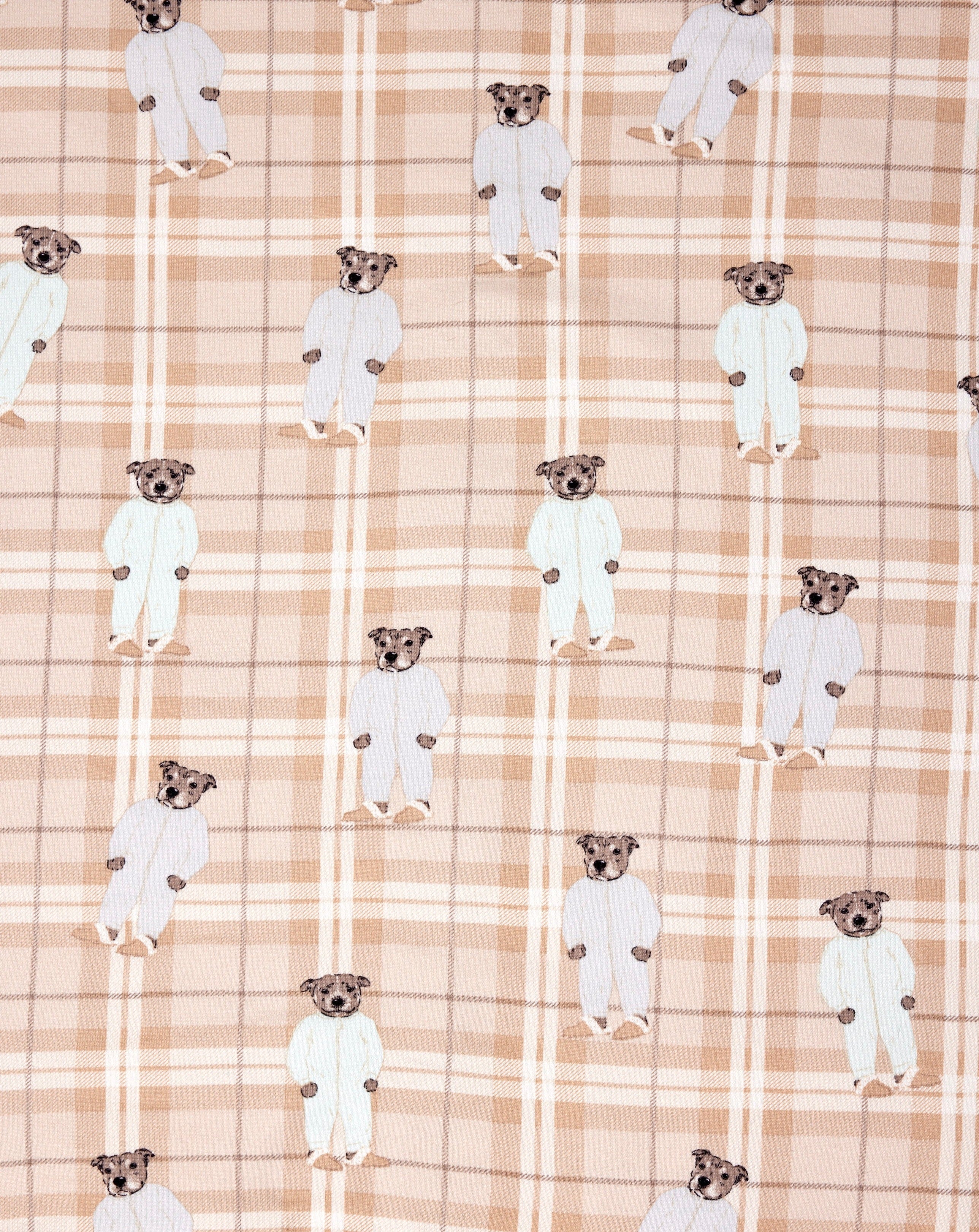 Bedtime Blueboys Blanket