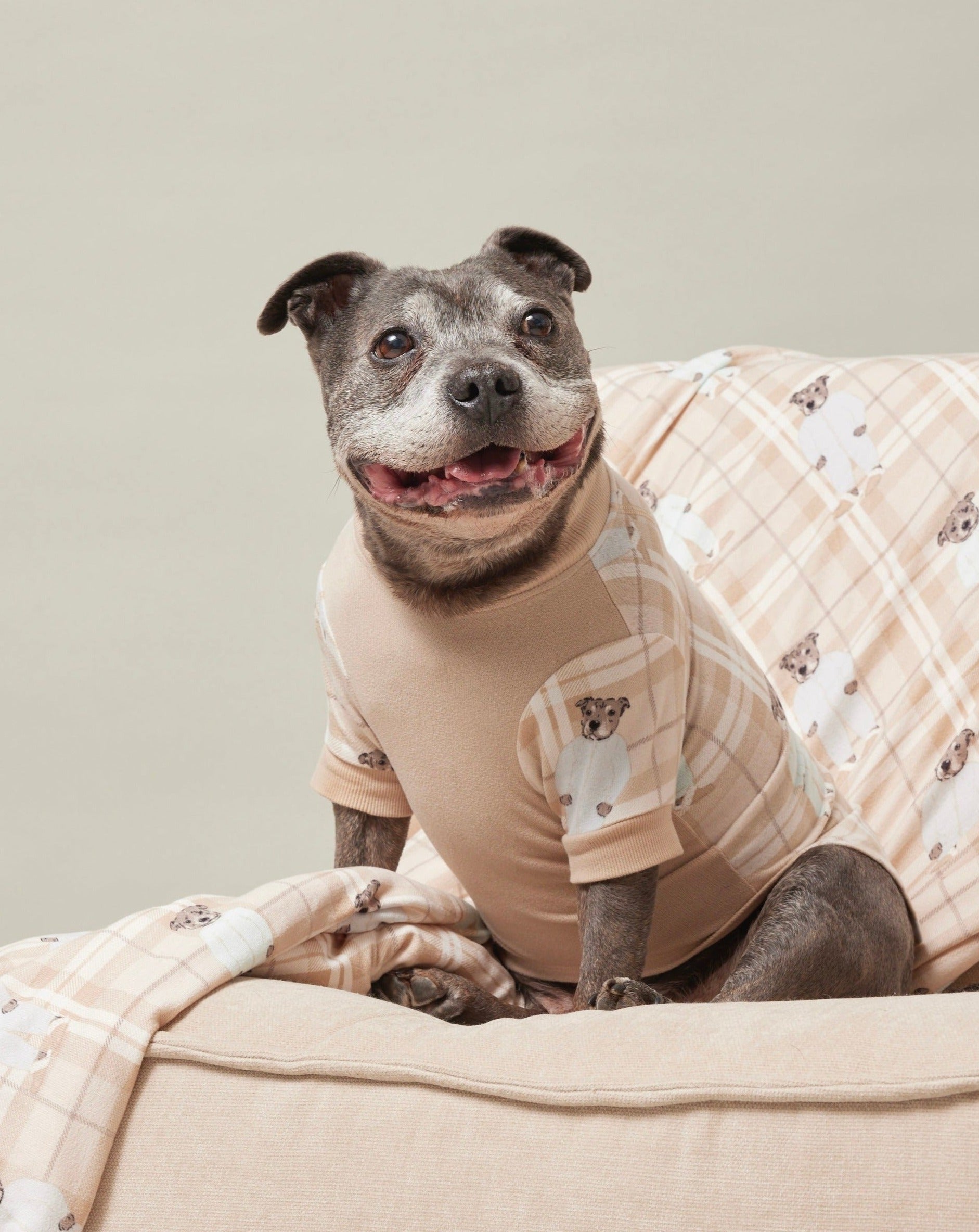 Darren and Phillip printed dog blanket.