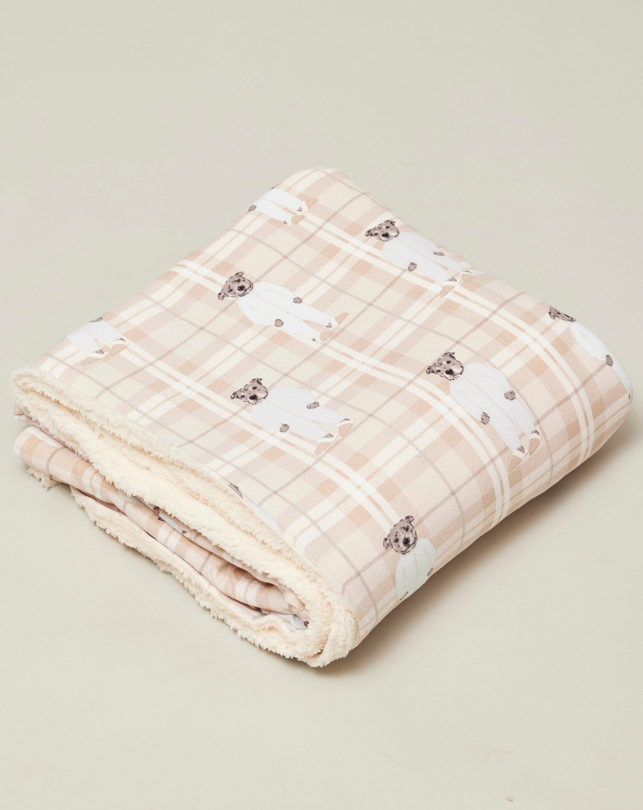 Darren and Phillip bedtime Blueboys dog blanket.