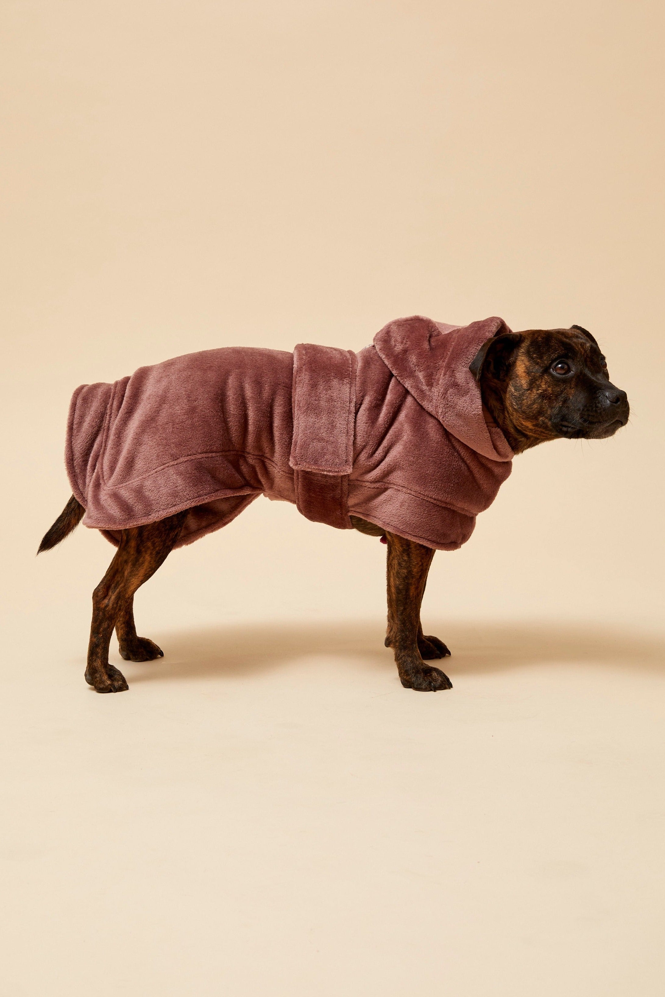 Darren and Phillip calming dog robe.