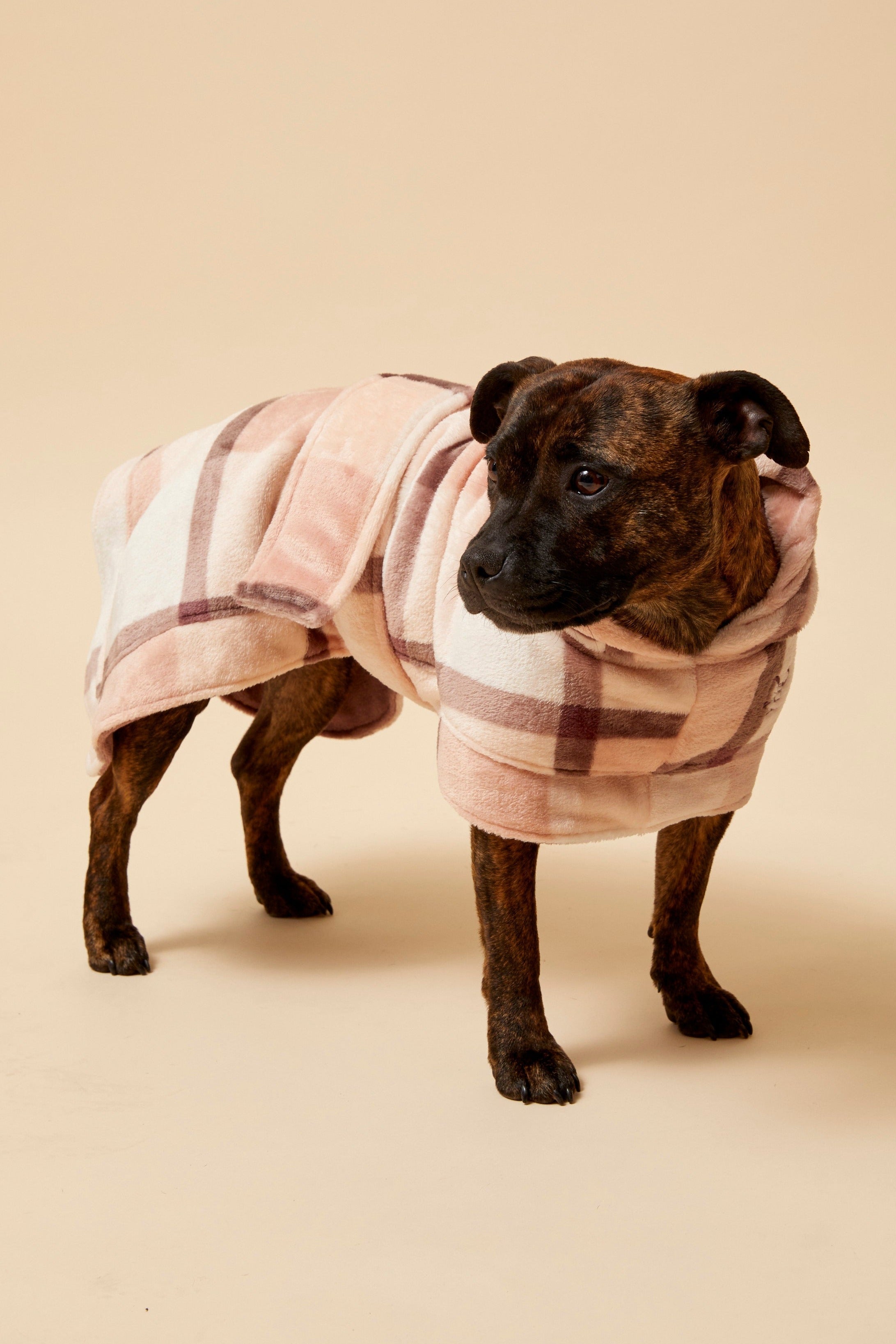 Darren and Phillip calming dog robe.