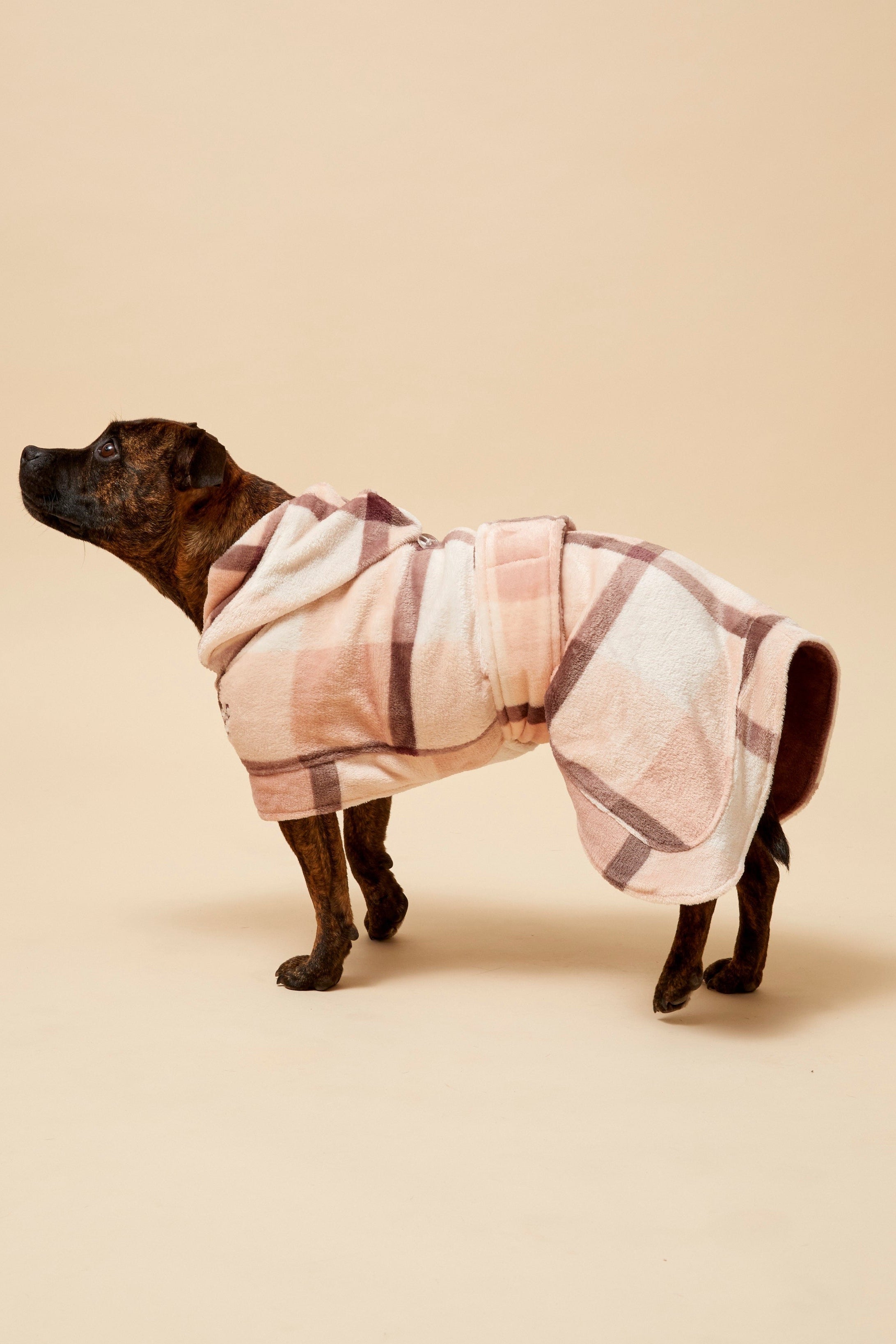 Darren and Phillip dog robe.