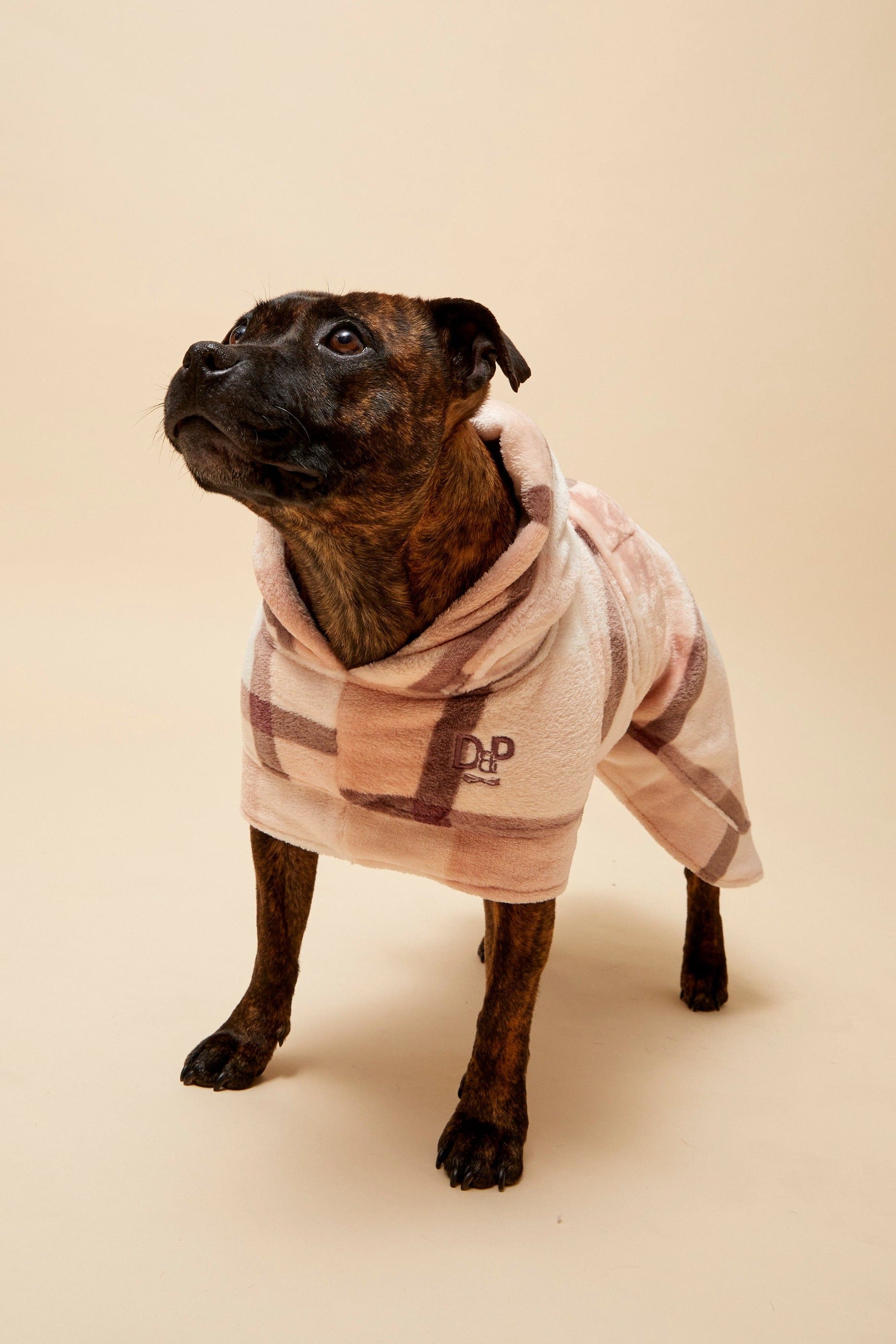 Darren and Phillip snuggle buddy dog robe.