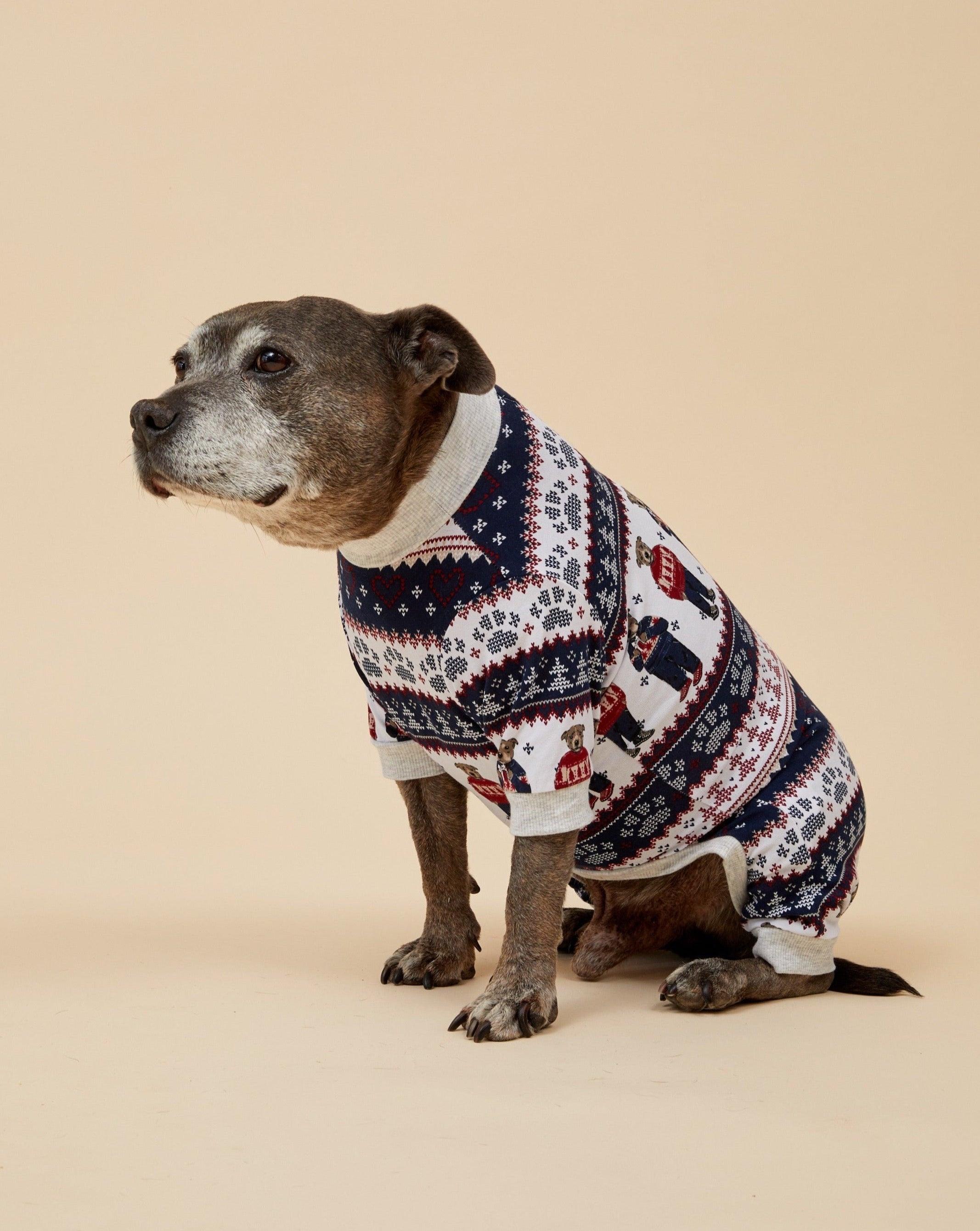 Darren and Phillip match your dog Christmas pyjamas.
