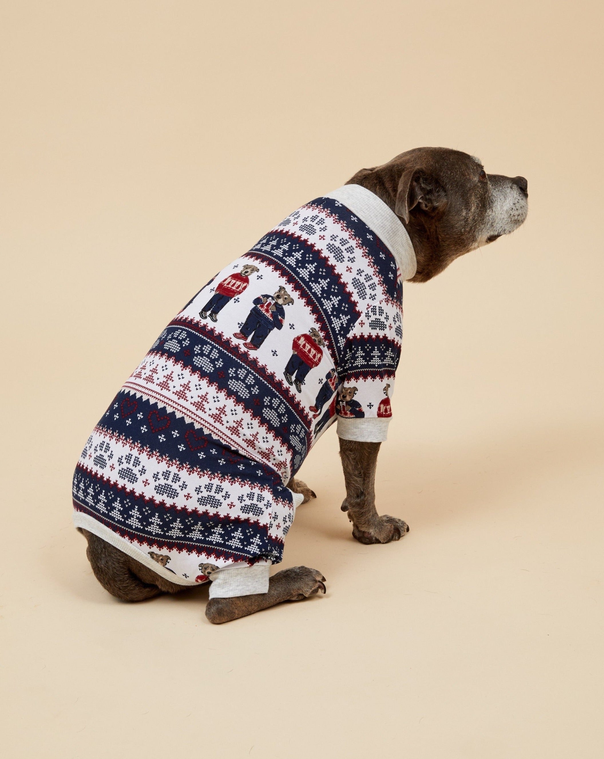 Darren and Phillip match your dog Christmas pyjamas.