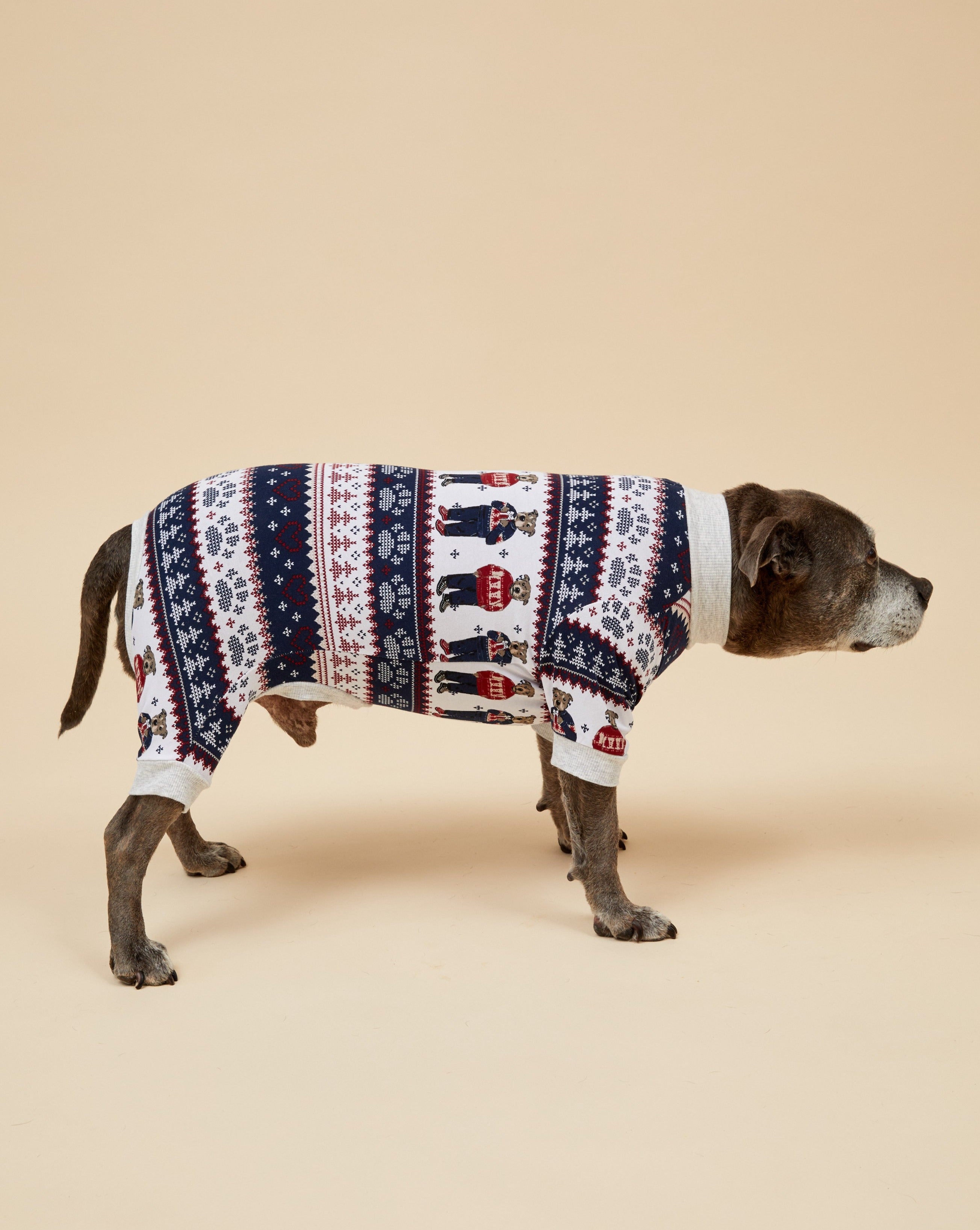 Darren and Phillip match your dog Christmas pyjamas.