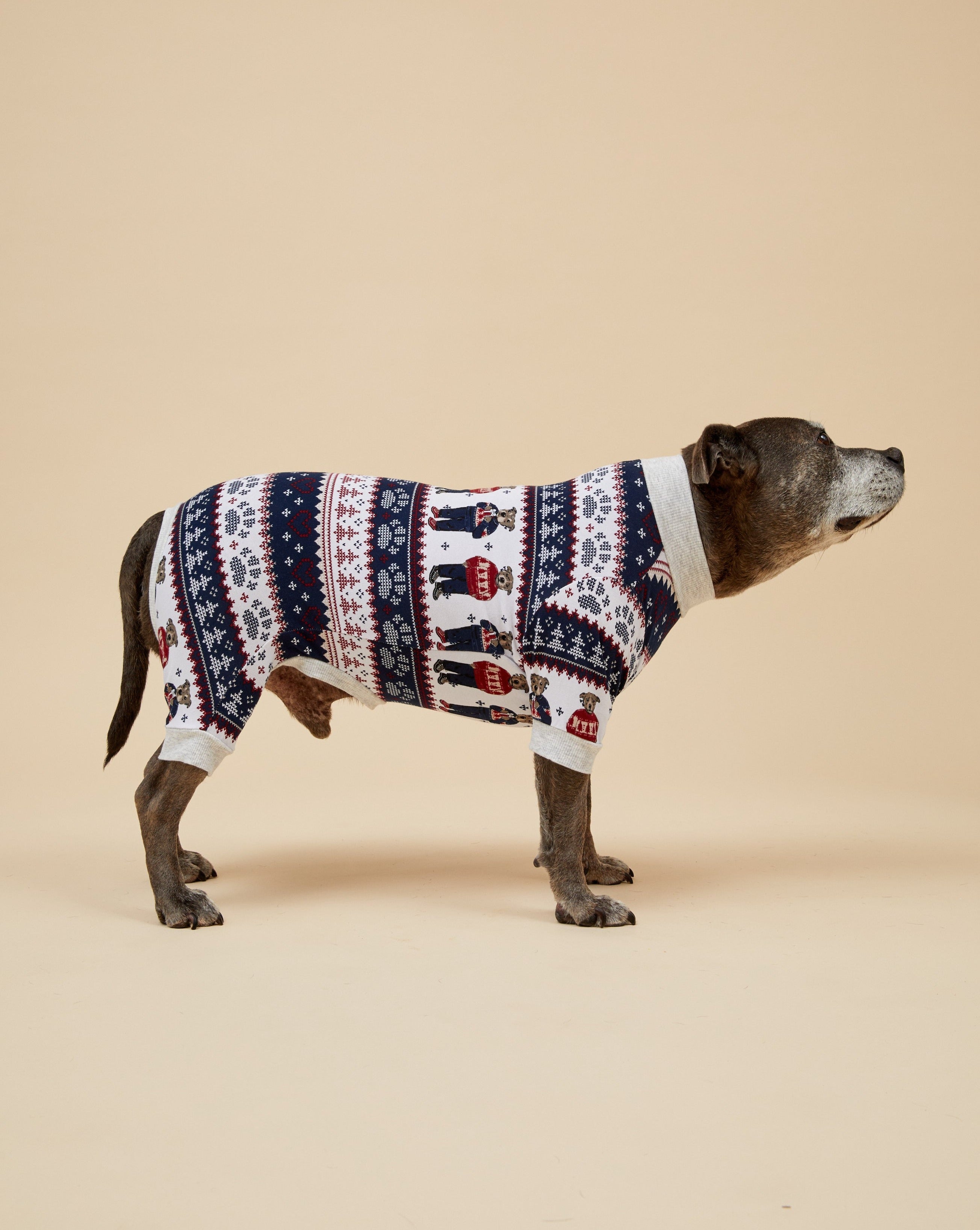 Darren and Phillip match your dog Christmas pyjamas.