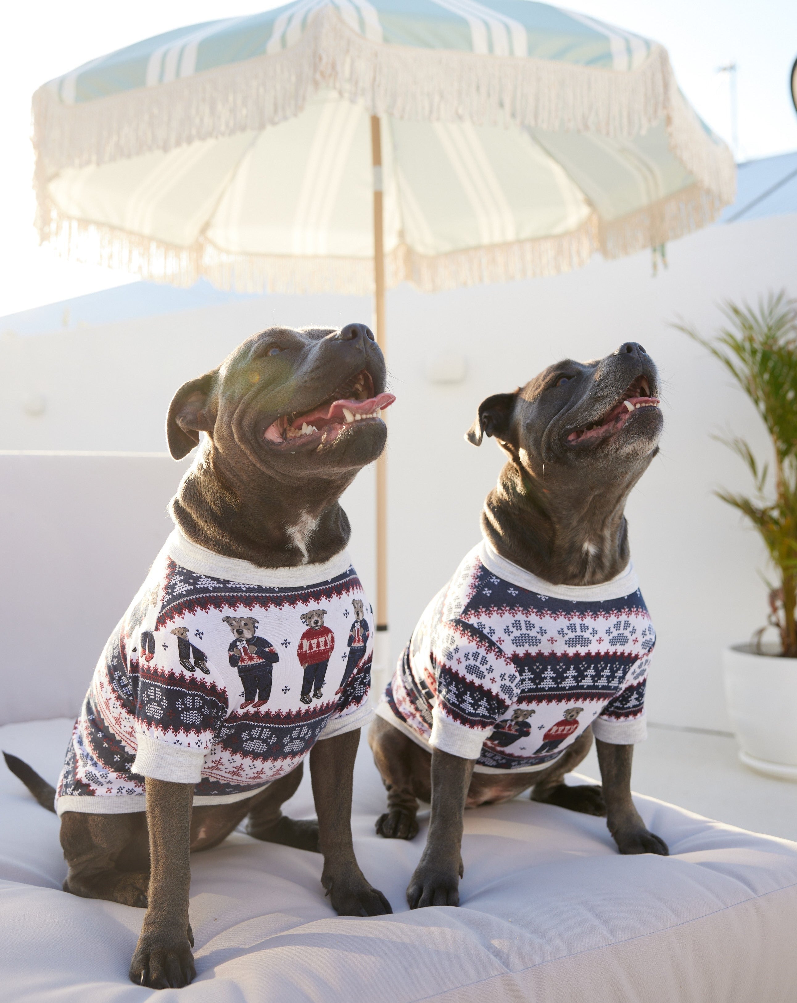 Staffy Bears Christmas Dog Tee