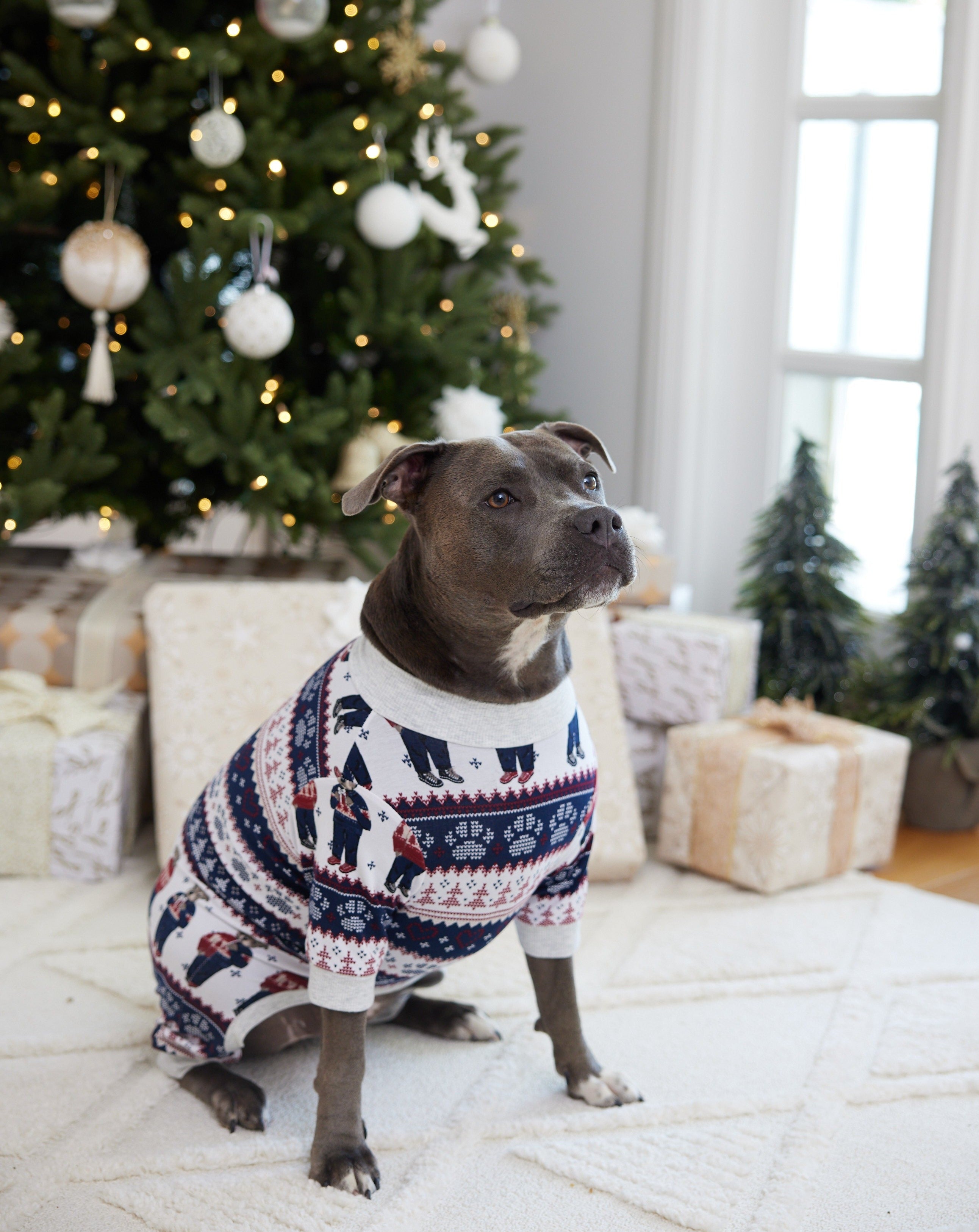 Staffy Bears Christmas Dog Onesie