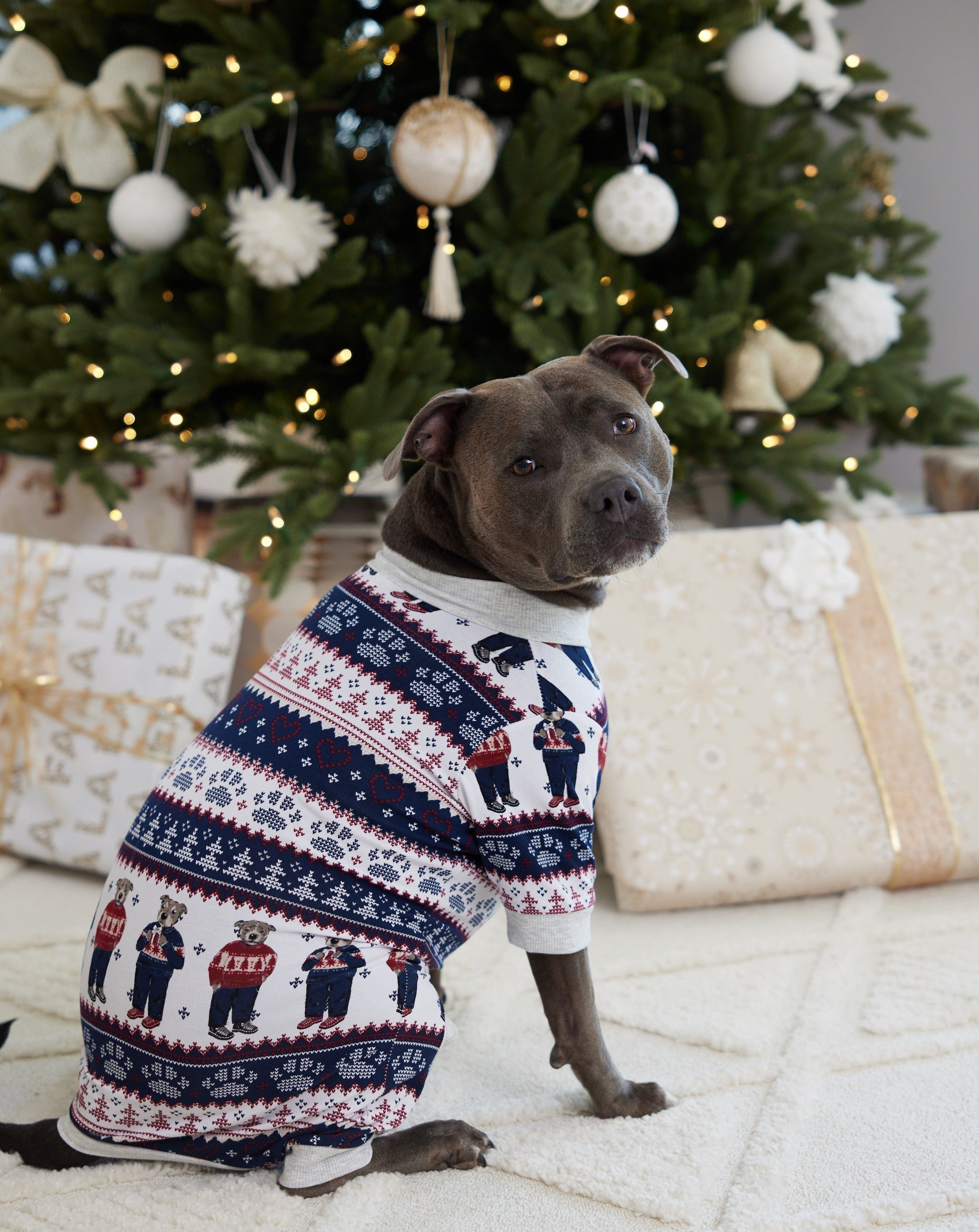 Staffy Bears Christmas Dog Onesie