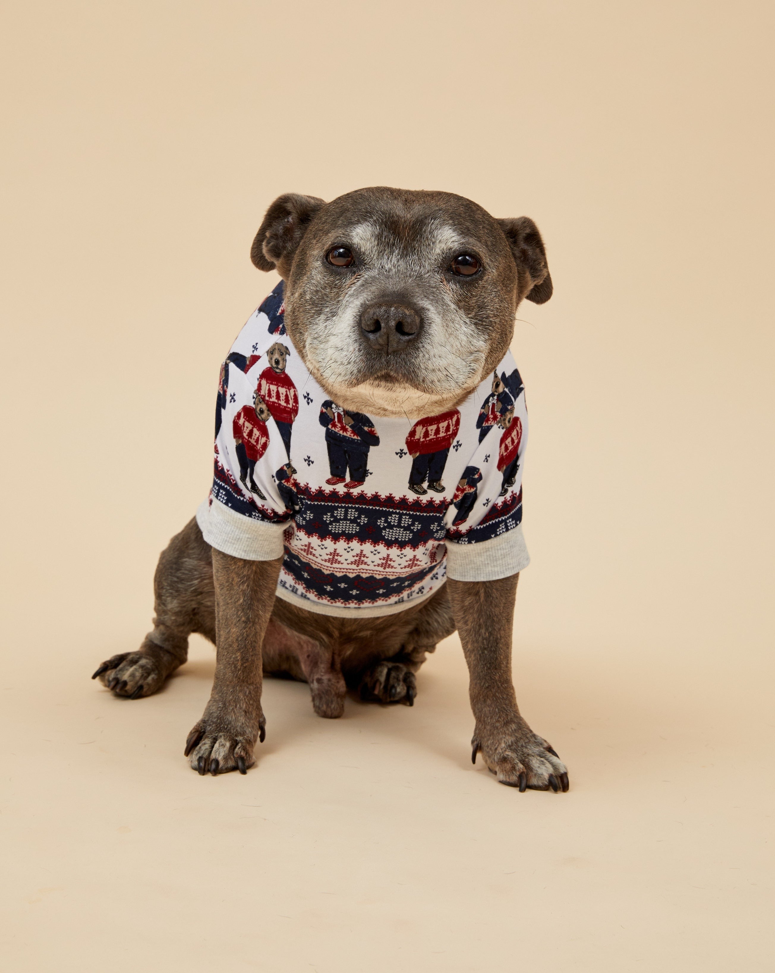 Darren and Phillip match your dog Christmas pyjamas.