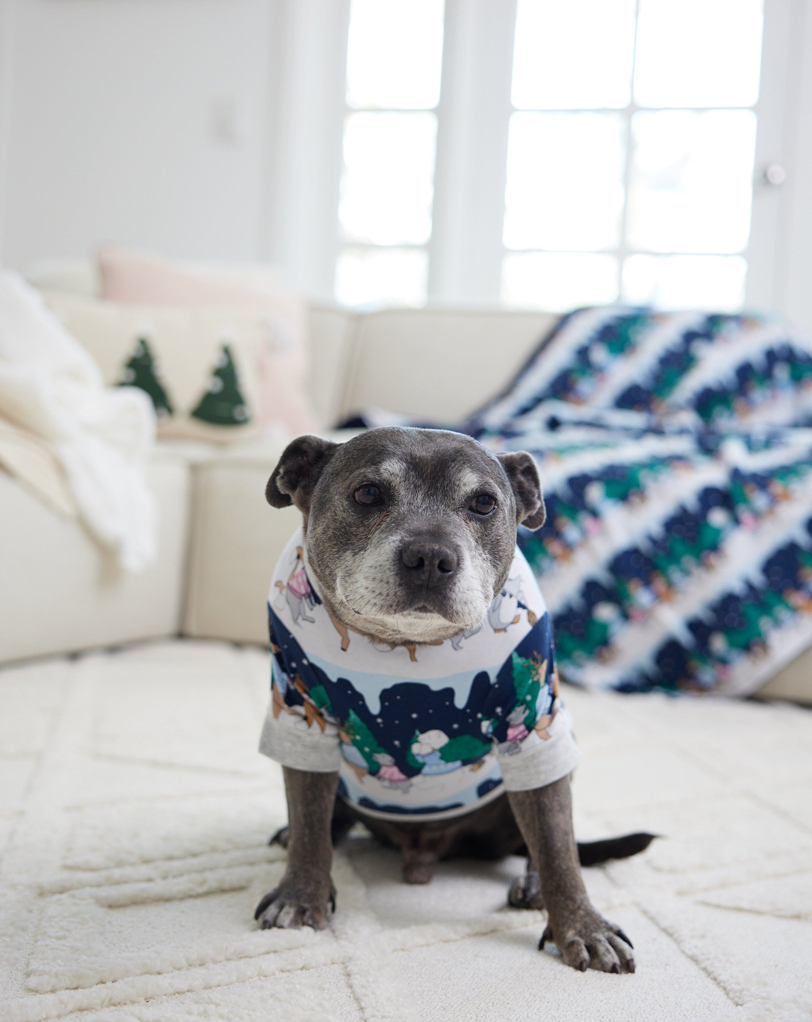 Darren and Phillip Christmas dog blanket.