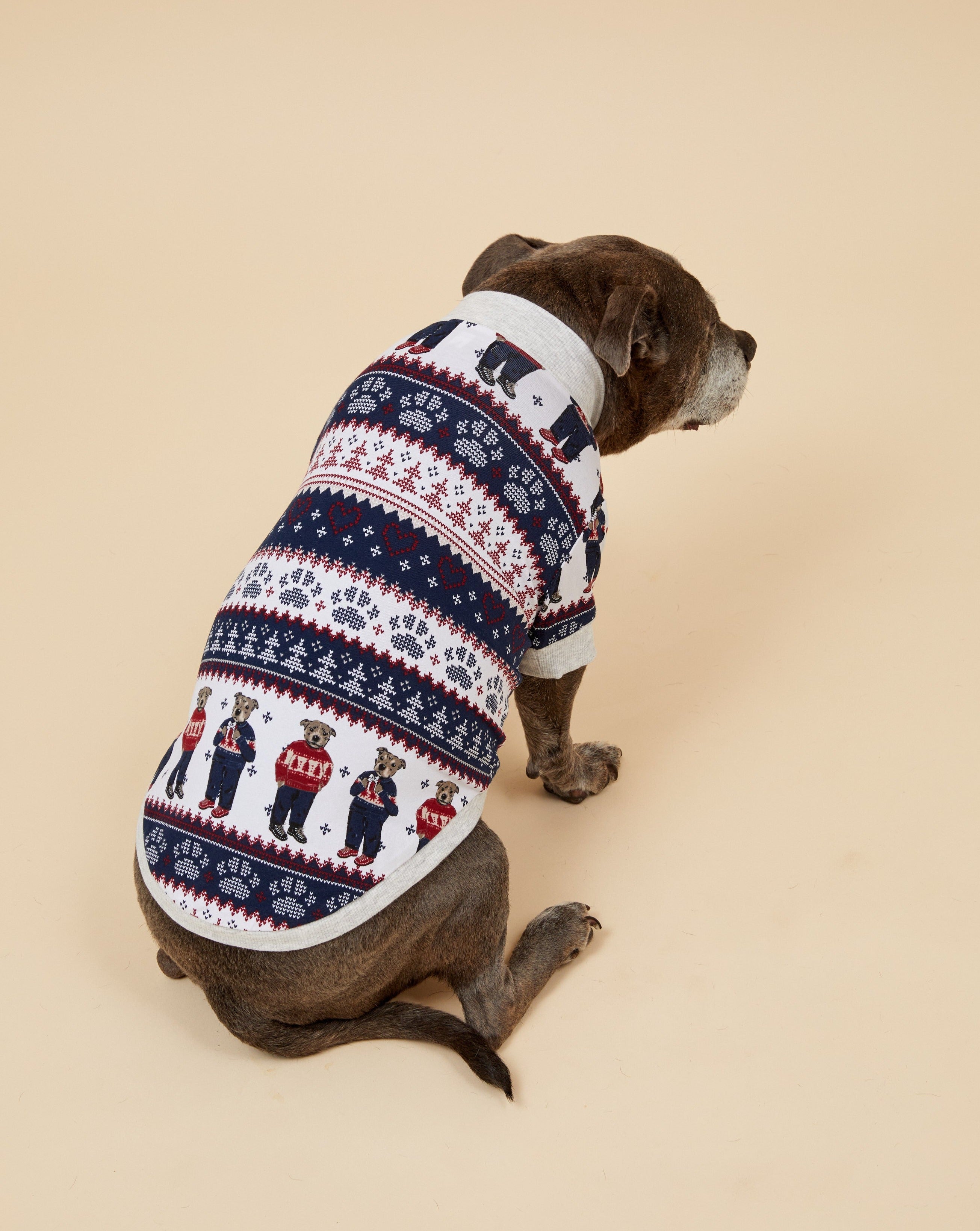 Darren and Phillip match your dog Christmas pyjamas.