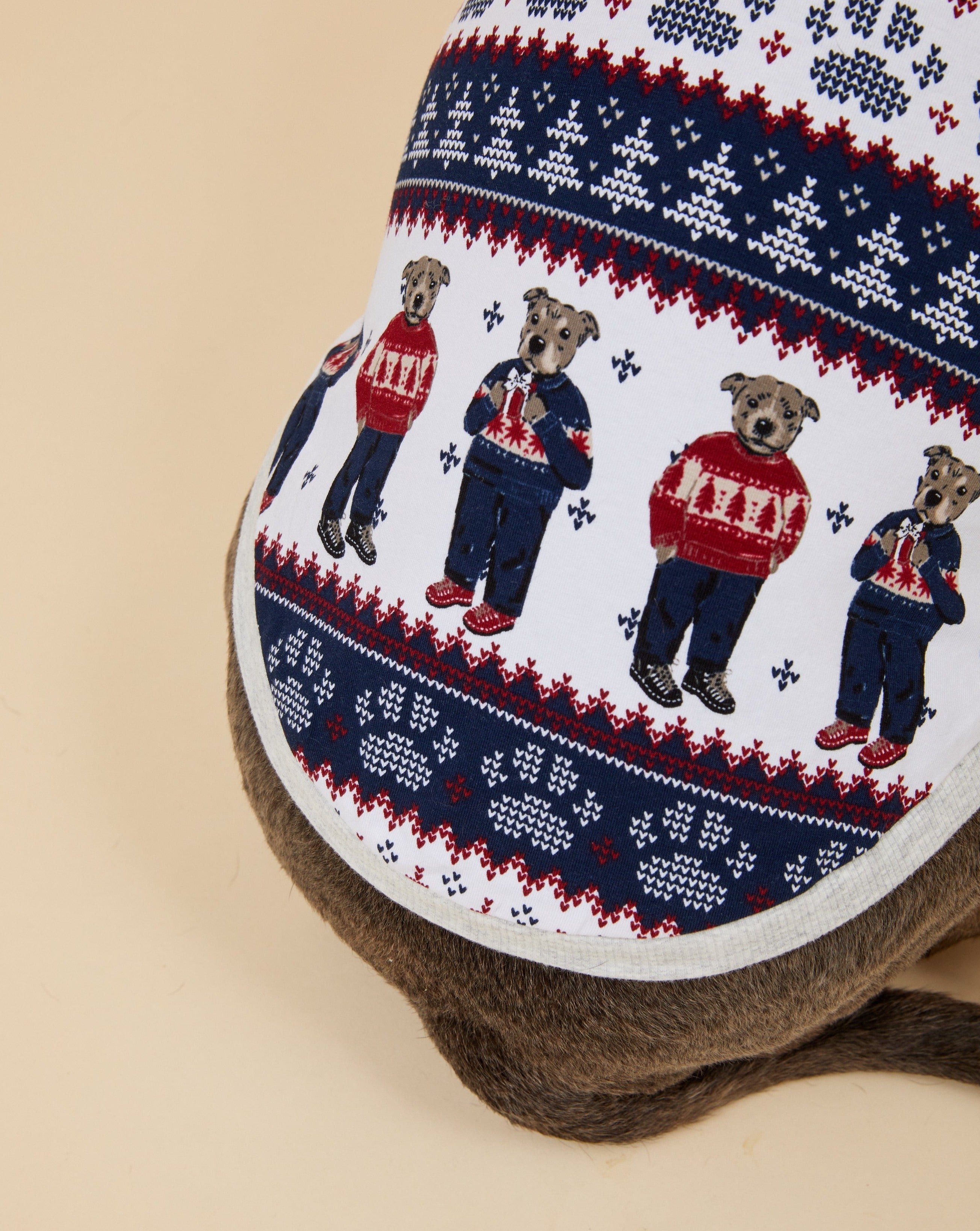 Darren and Phillip match your dog Christmas pyjamas.