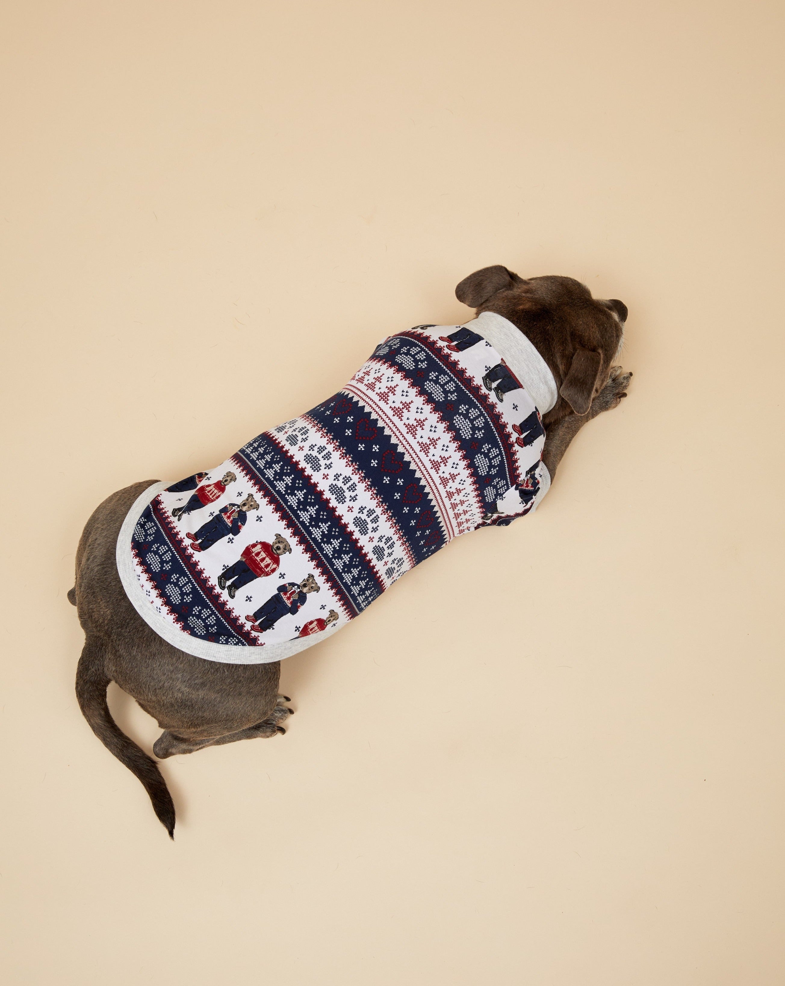 Darren and Phillip match your dog Christmas pyjamas.