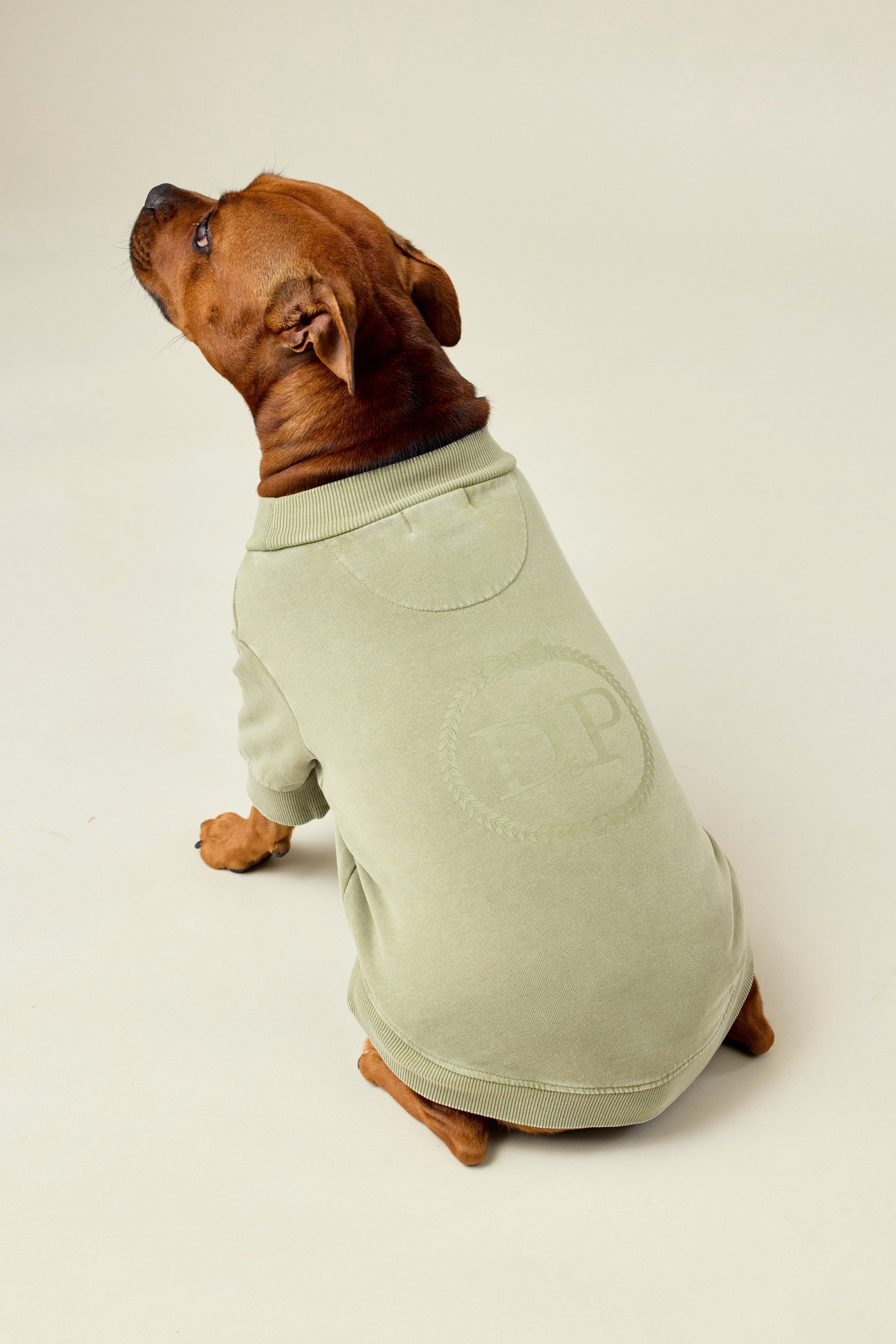 BFF Dog Sweatshirt | Olive