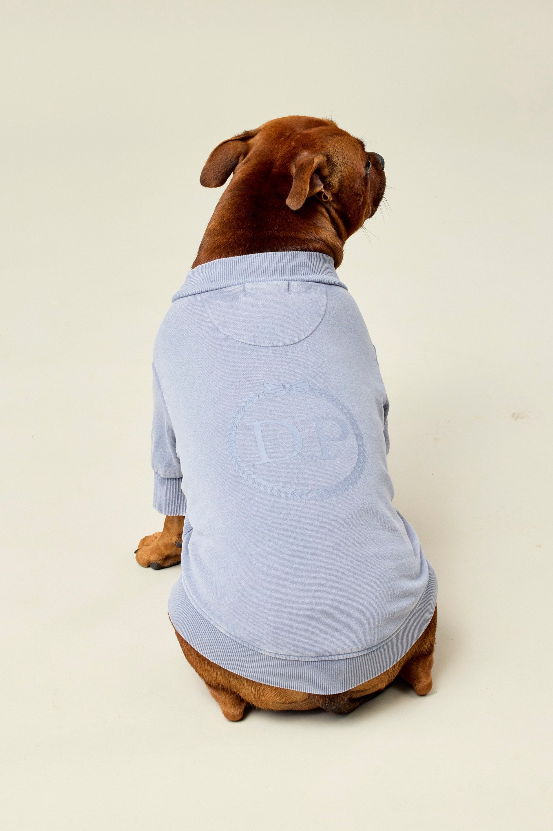 BFF Dog Sweatshirt | Slate