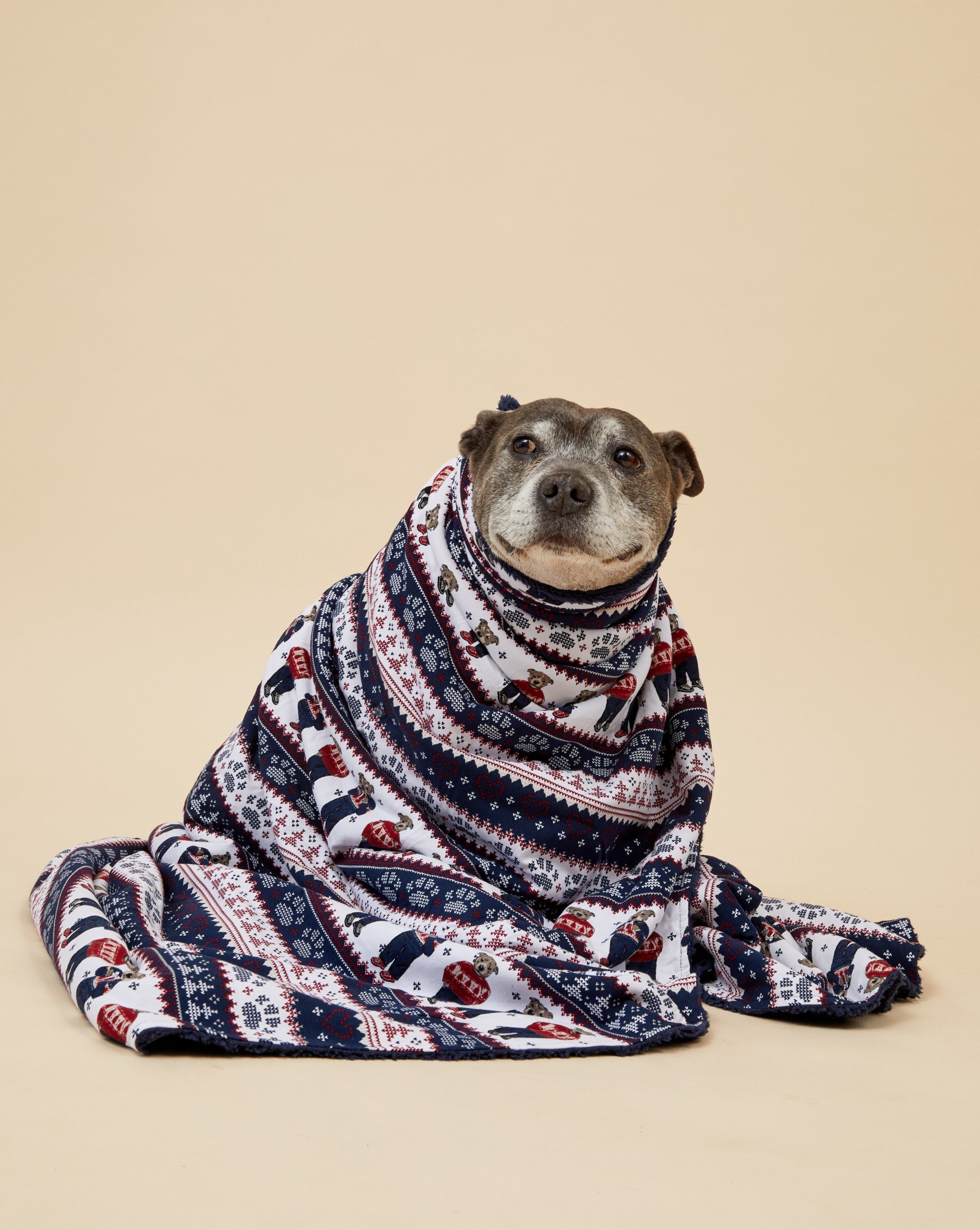 Darren and Phillip Christmas dog blanket.